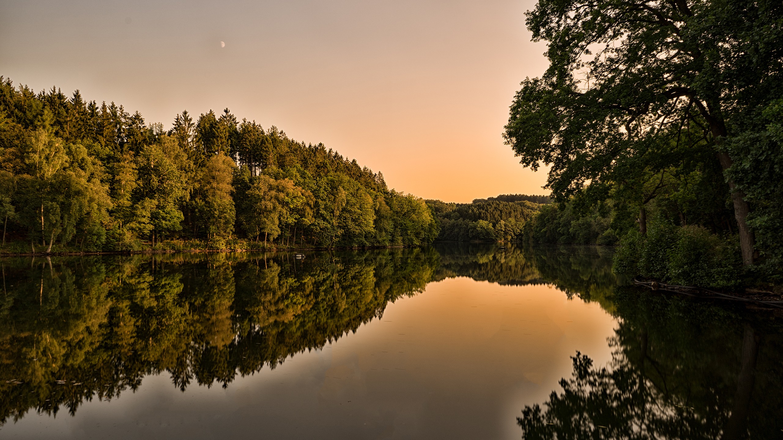 Lake and forest landscape at sunset with moon HD Wallpaper
