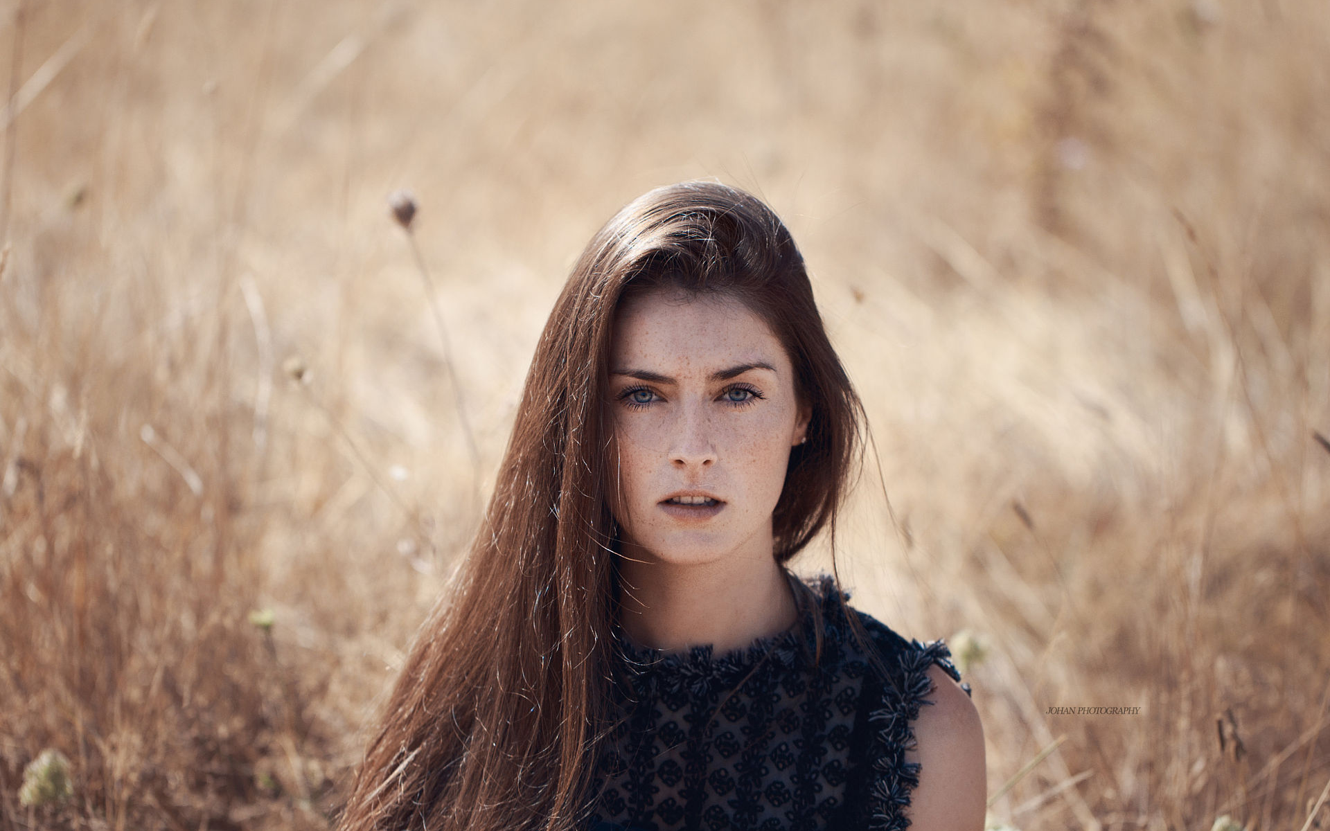 Woman with freckles and blue eyes in a field HD Wallpaper