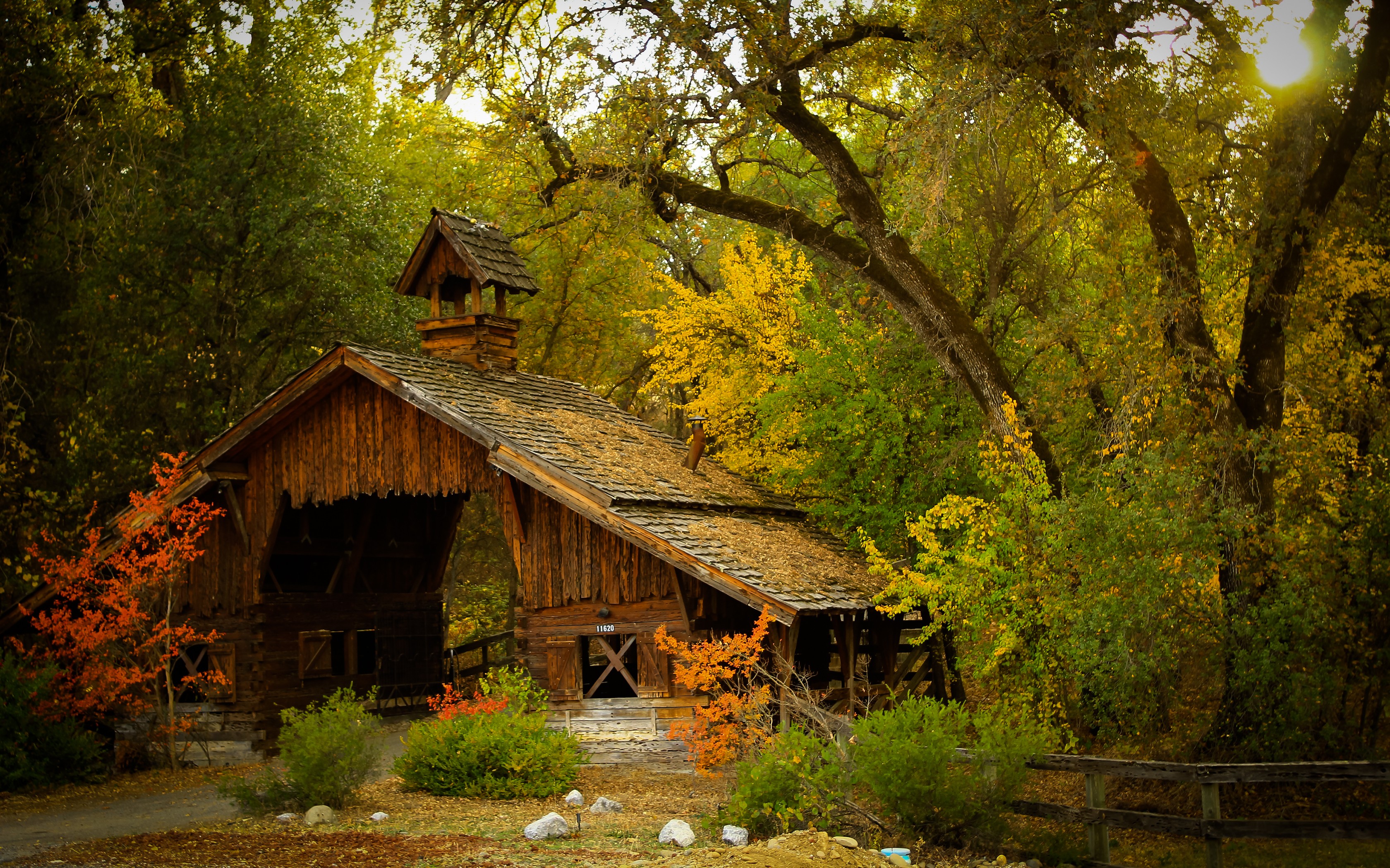 Wooden barn in a forest during autumn HD Wallpaper