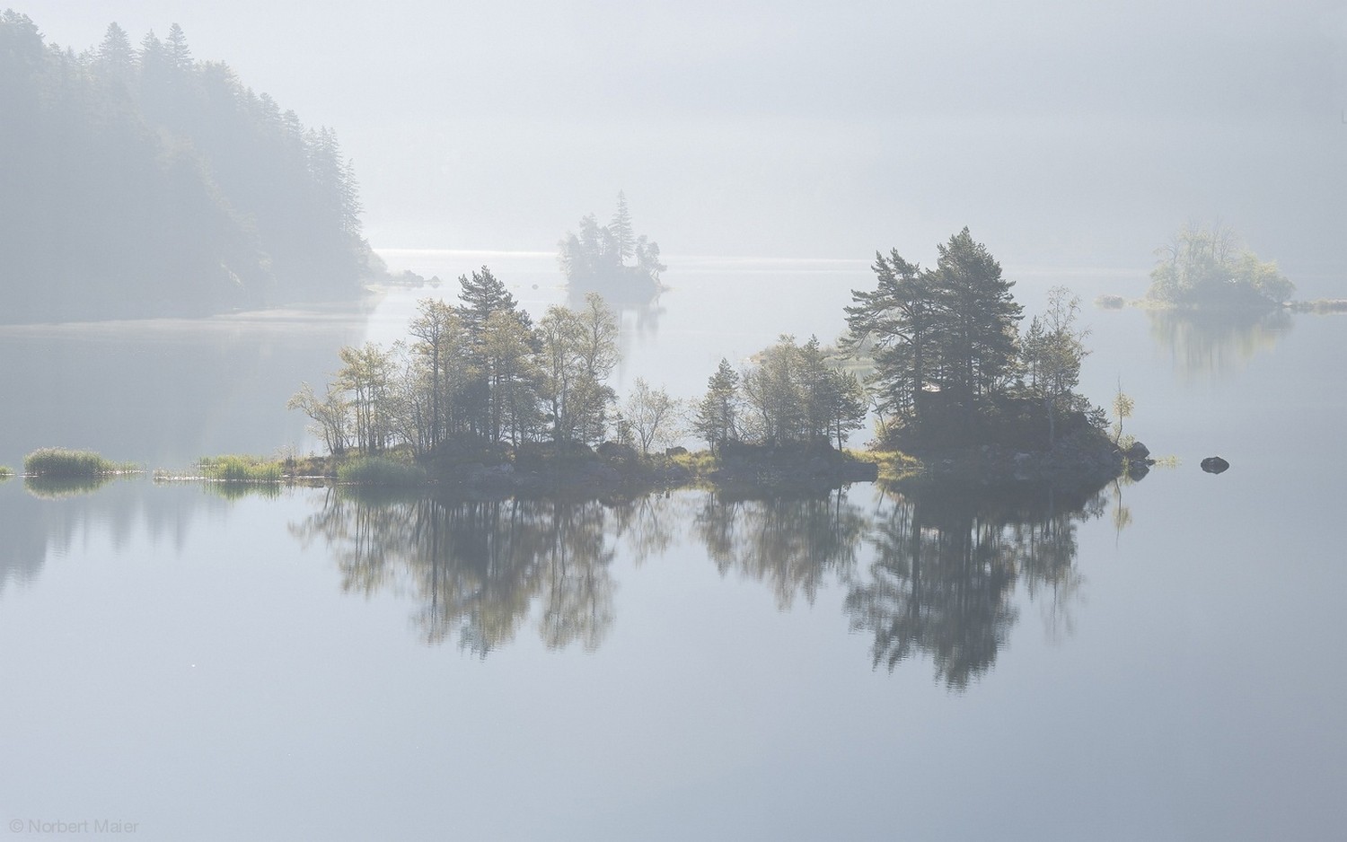Misty lake with islands and trees reflecting in calm water HD Wallpaper