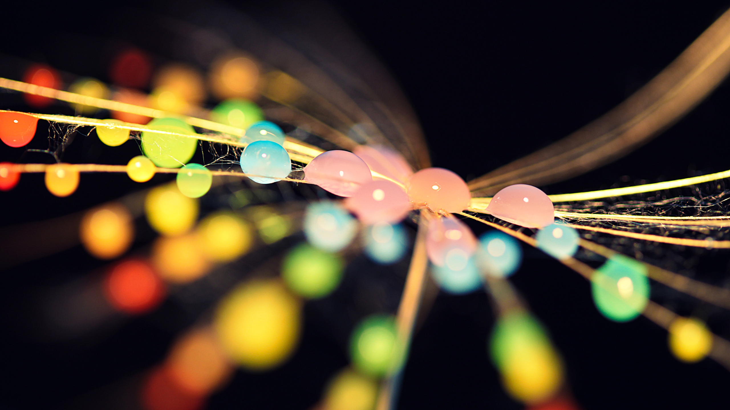 Colorful water drops on thin strands HD Wallpaper