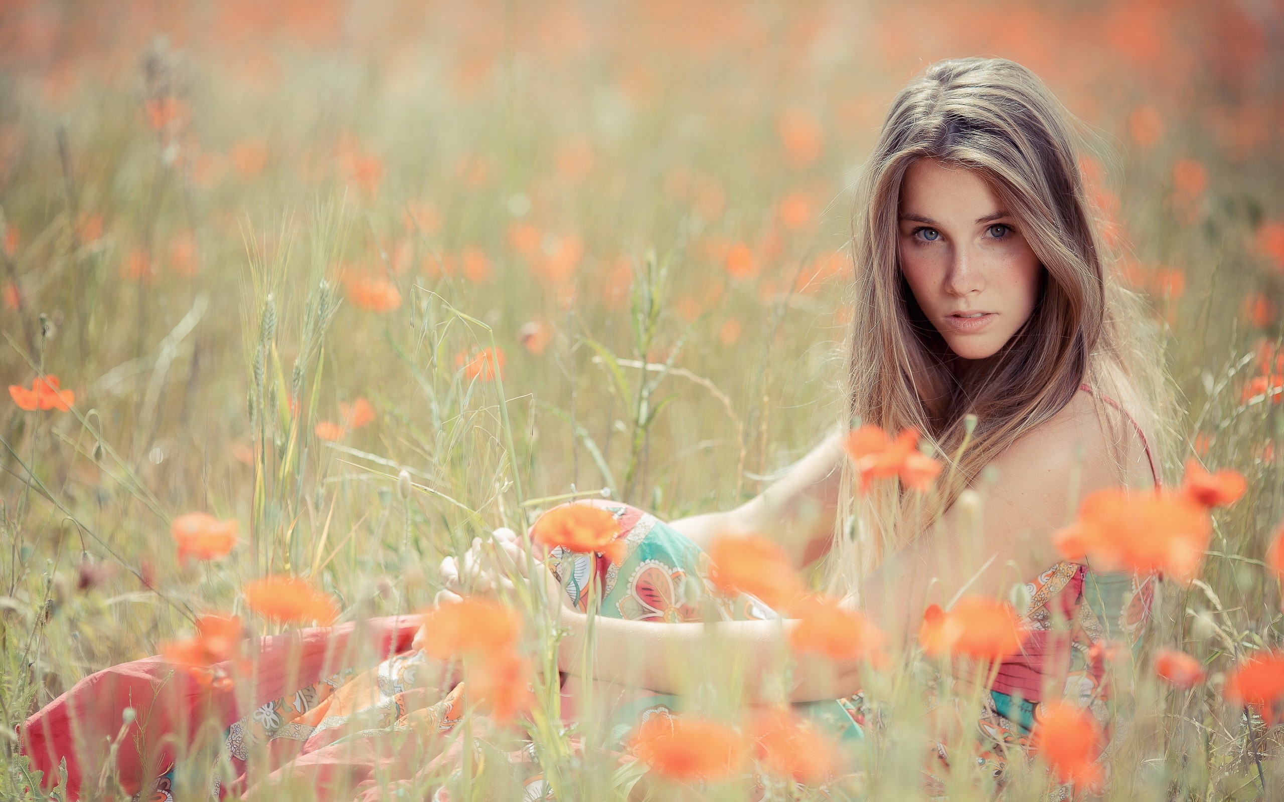 Woman with blonde hair sitting in a field of poppies HD Wallpaper