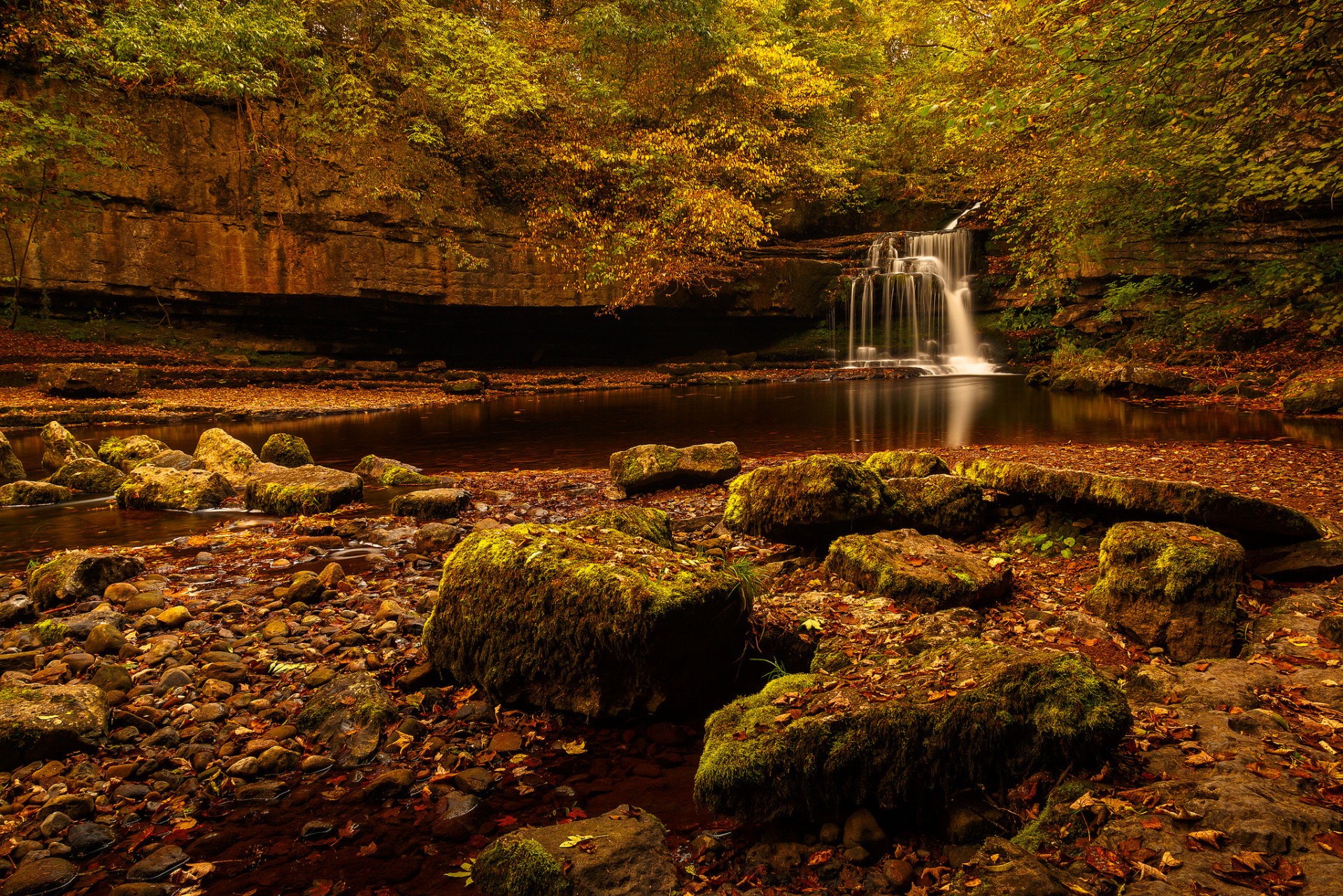 Waterfall in a forest during autumn with mossy rocks HD Wallpaper