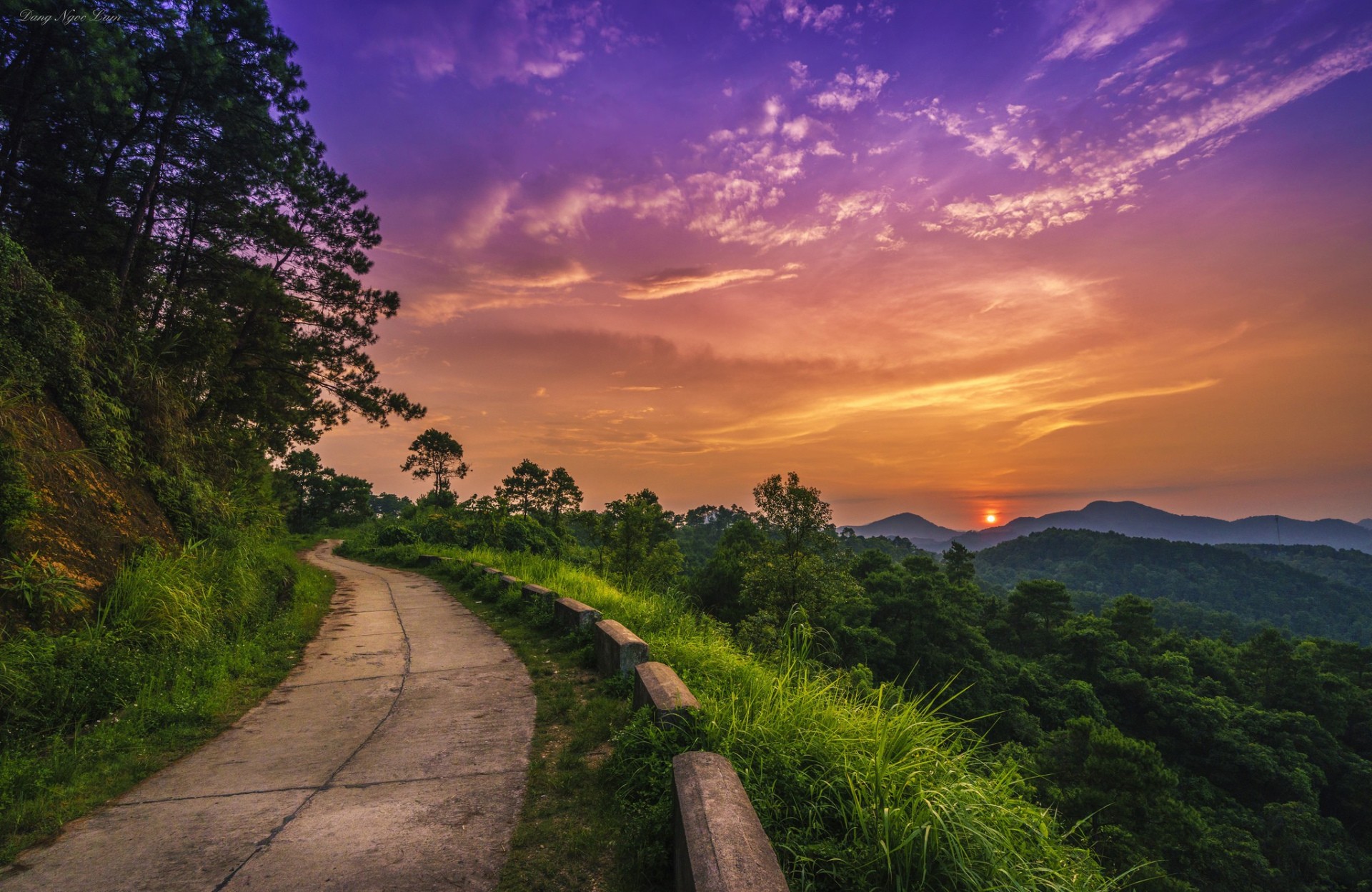 Road winding through a forest at sunset with purple and orange sky HD Wallpaper