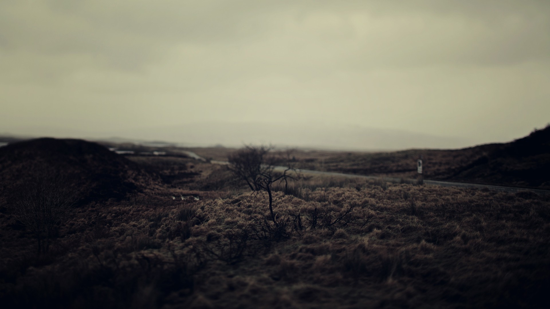 A desolate landscape with a road and a lone tree HD Wallpaper