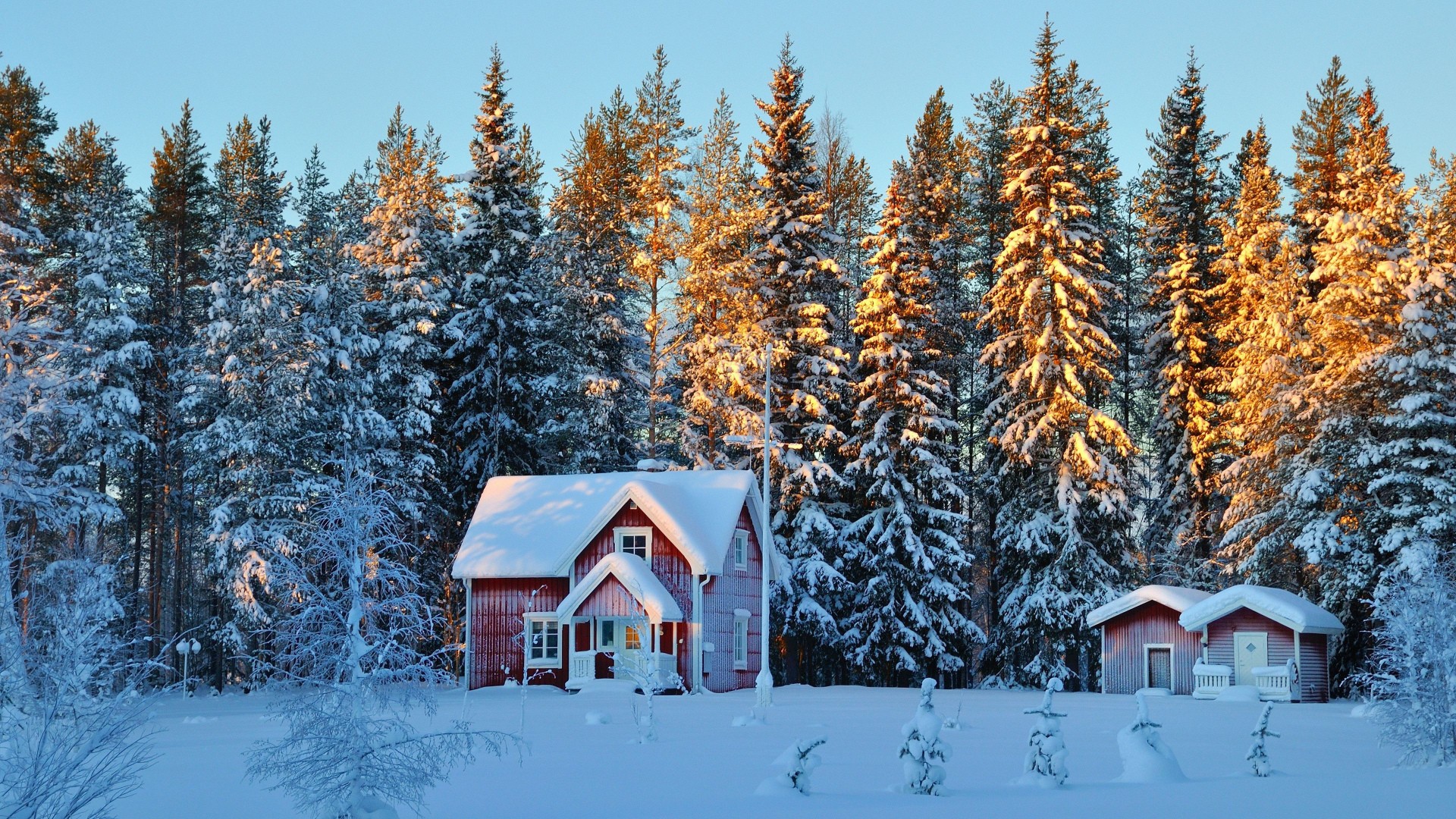 Red house in a snowy forest at sunset HD Wallpaper