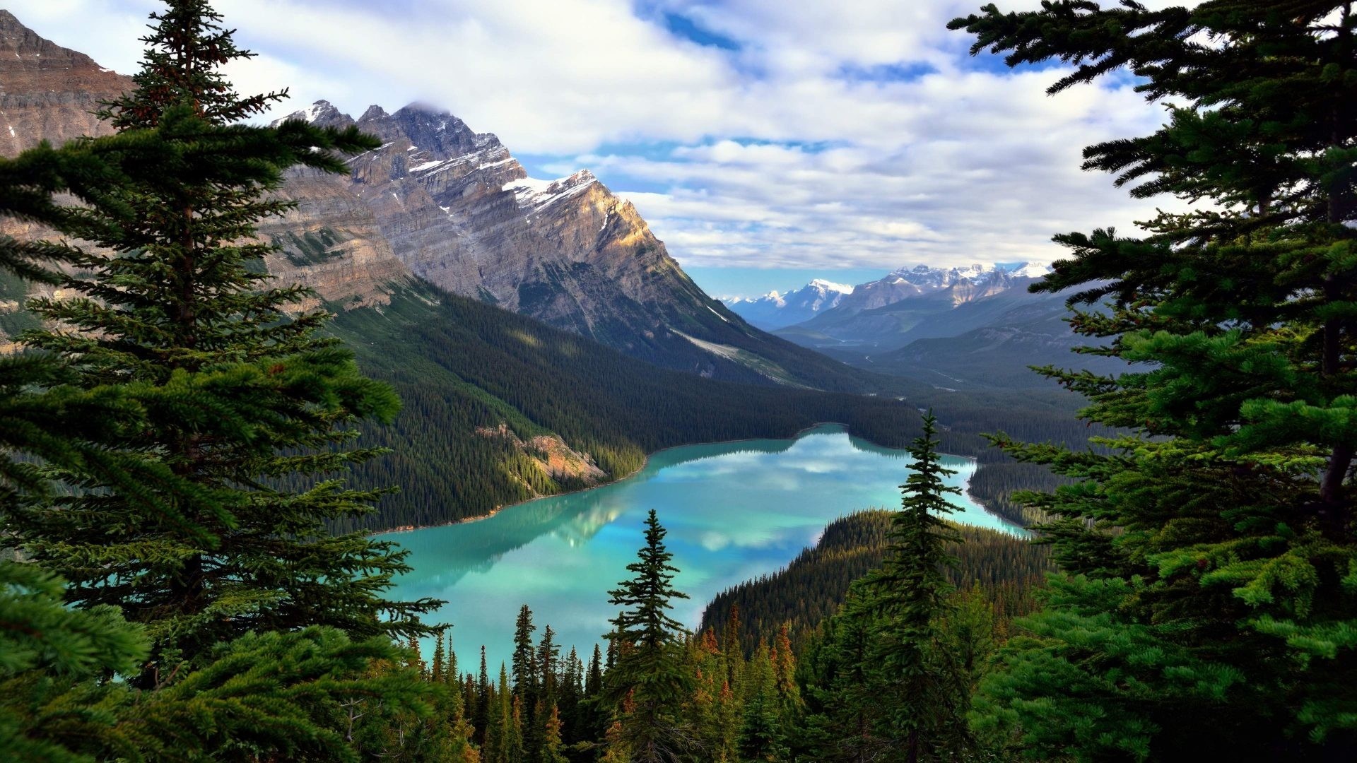Peyto Lake in Banff National Park, Canada HD Wallpaper