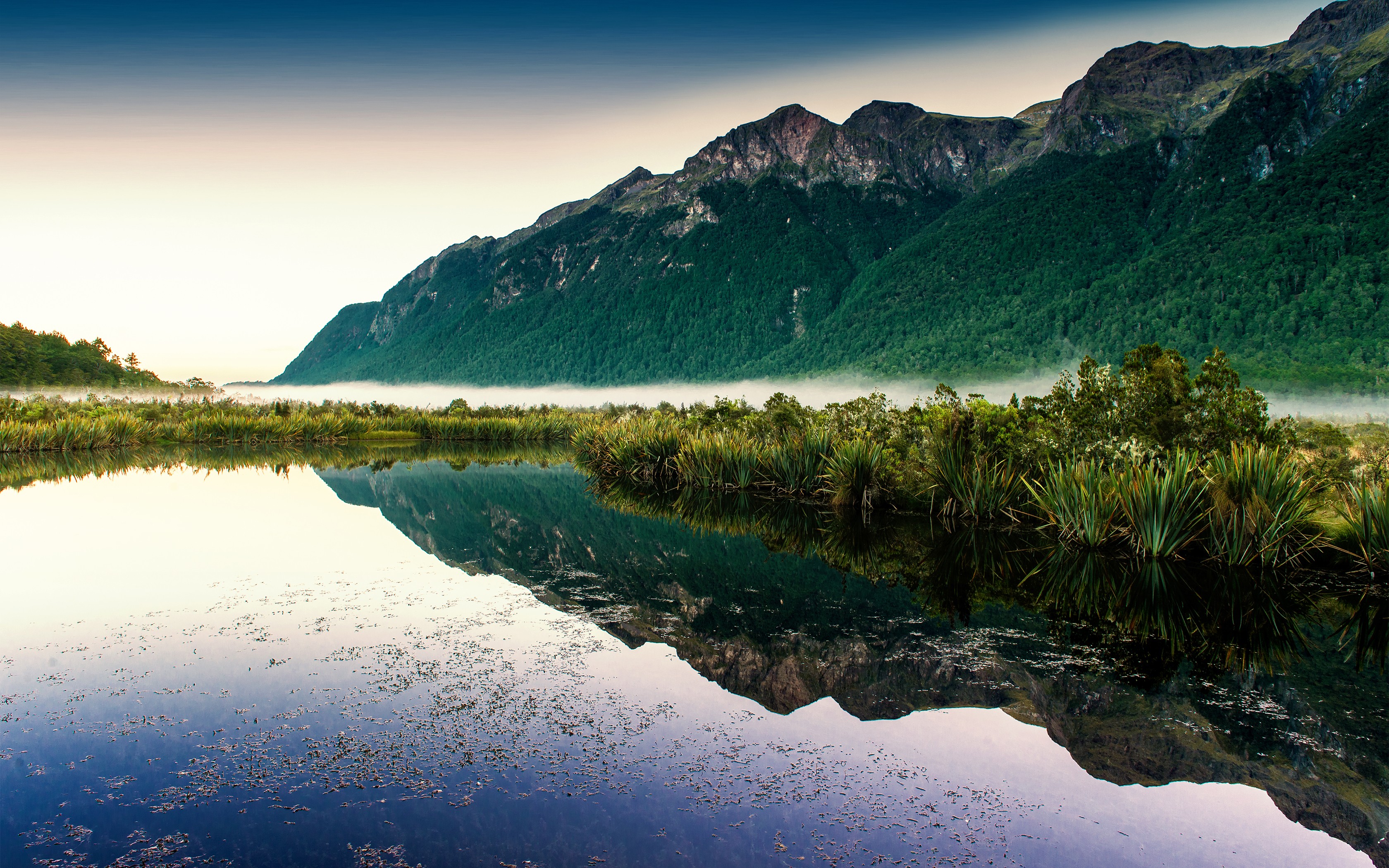 Mist over a lake with mountains and forest reflection HD Wallpaper