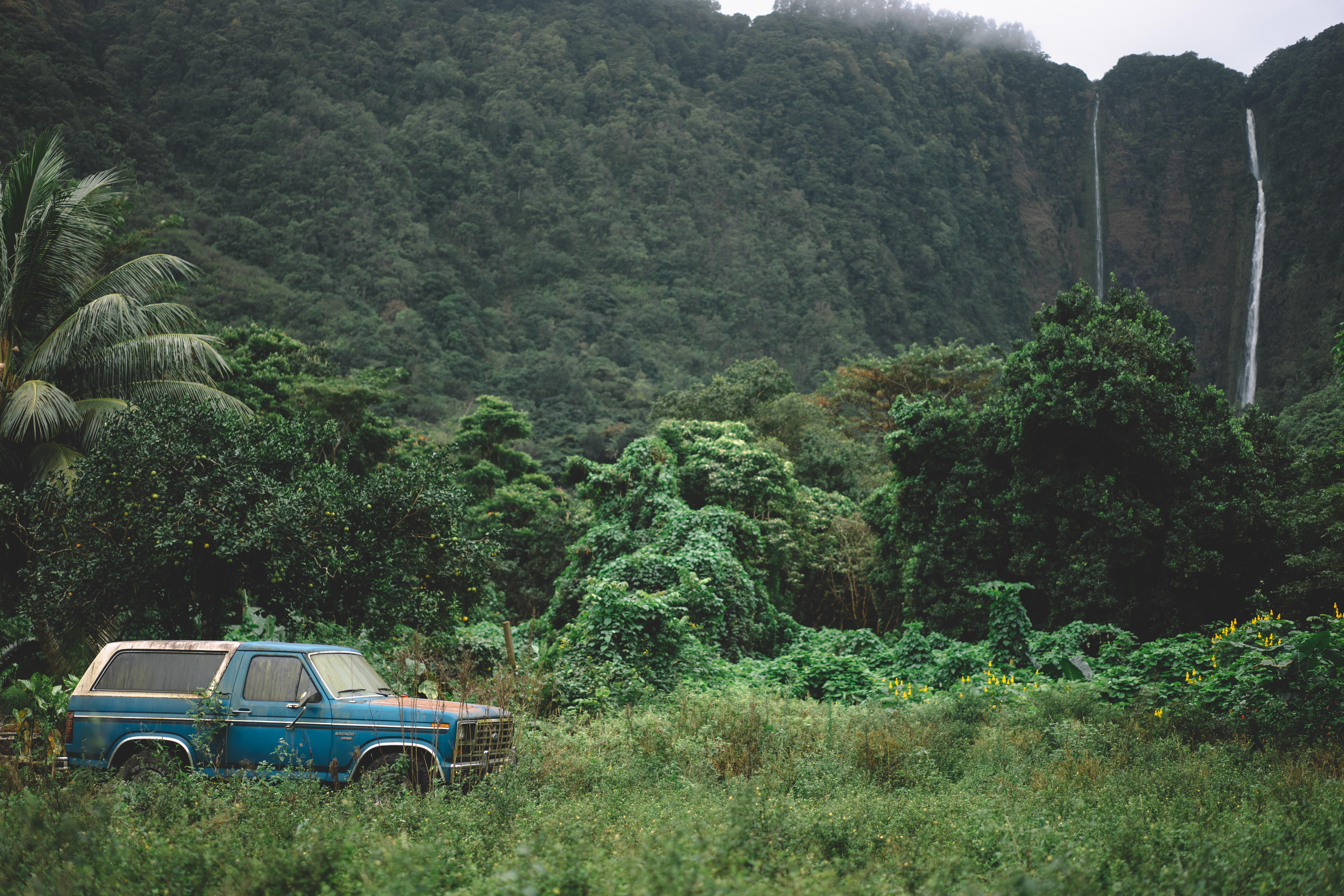 Abandoned blue car in a lush jungle with waterfalls HD Wallpaper