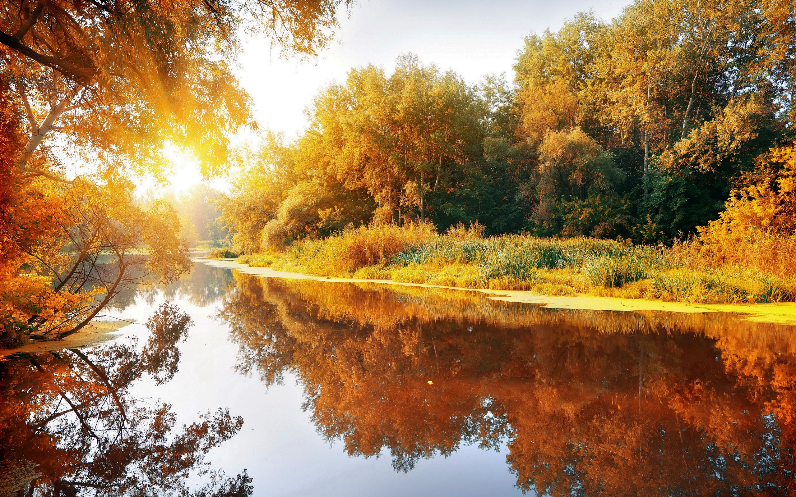 Autumn trees reflecting in a calm river at sunset HD Wallpaper