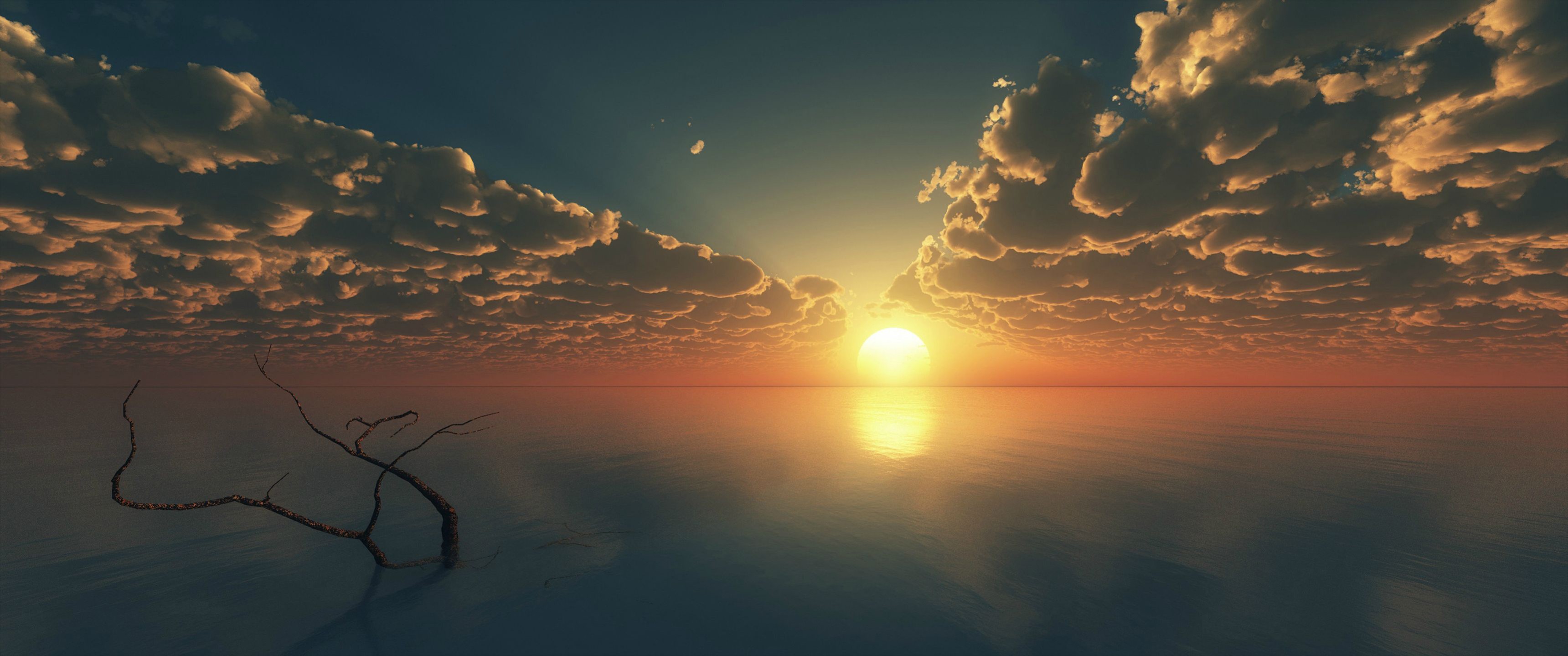 Sunset over the ocean with clouds and a dead tree HD Wallpaper