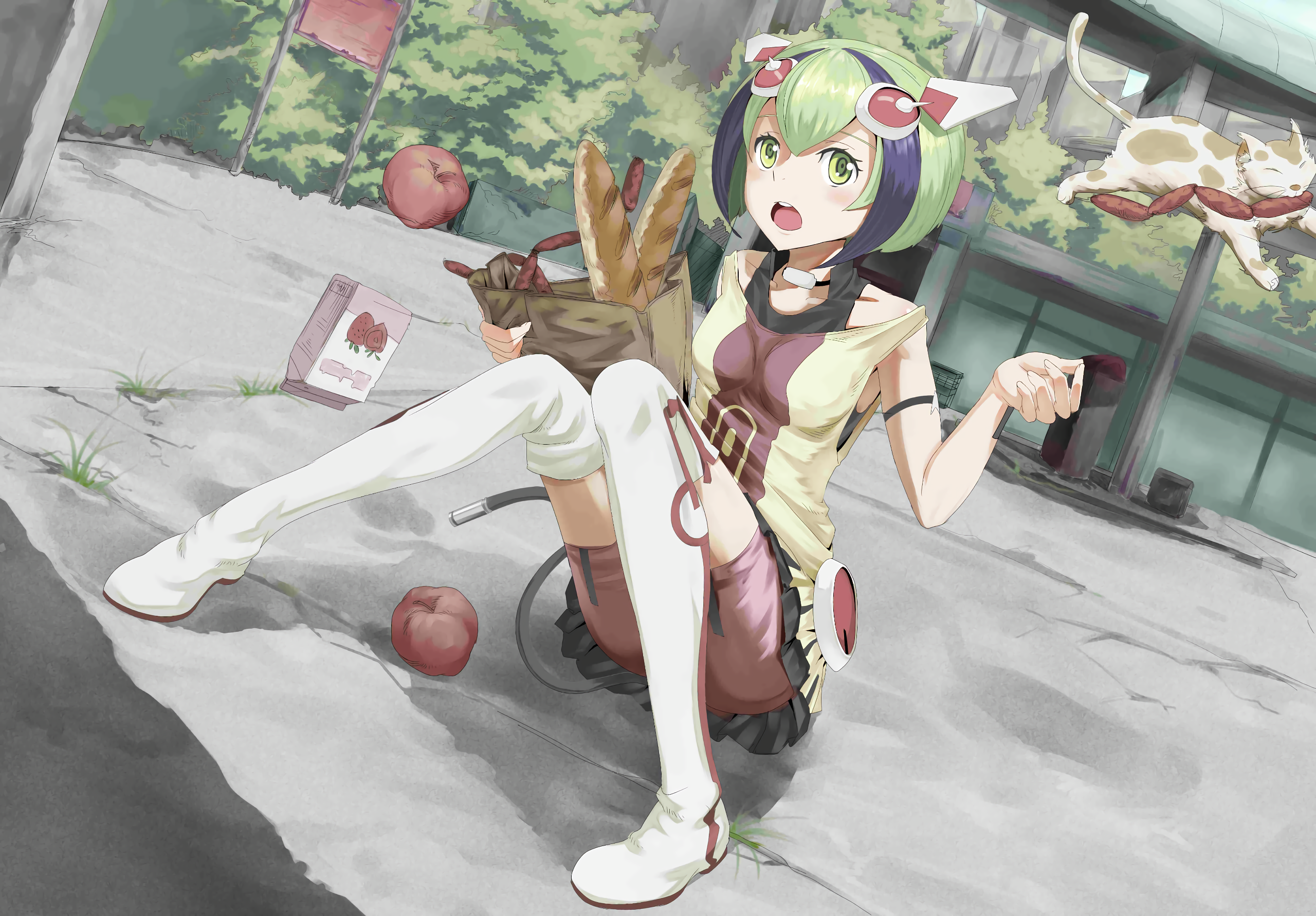 Dimension W anime girl with groceries and a cat HD Wallpaper