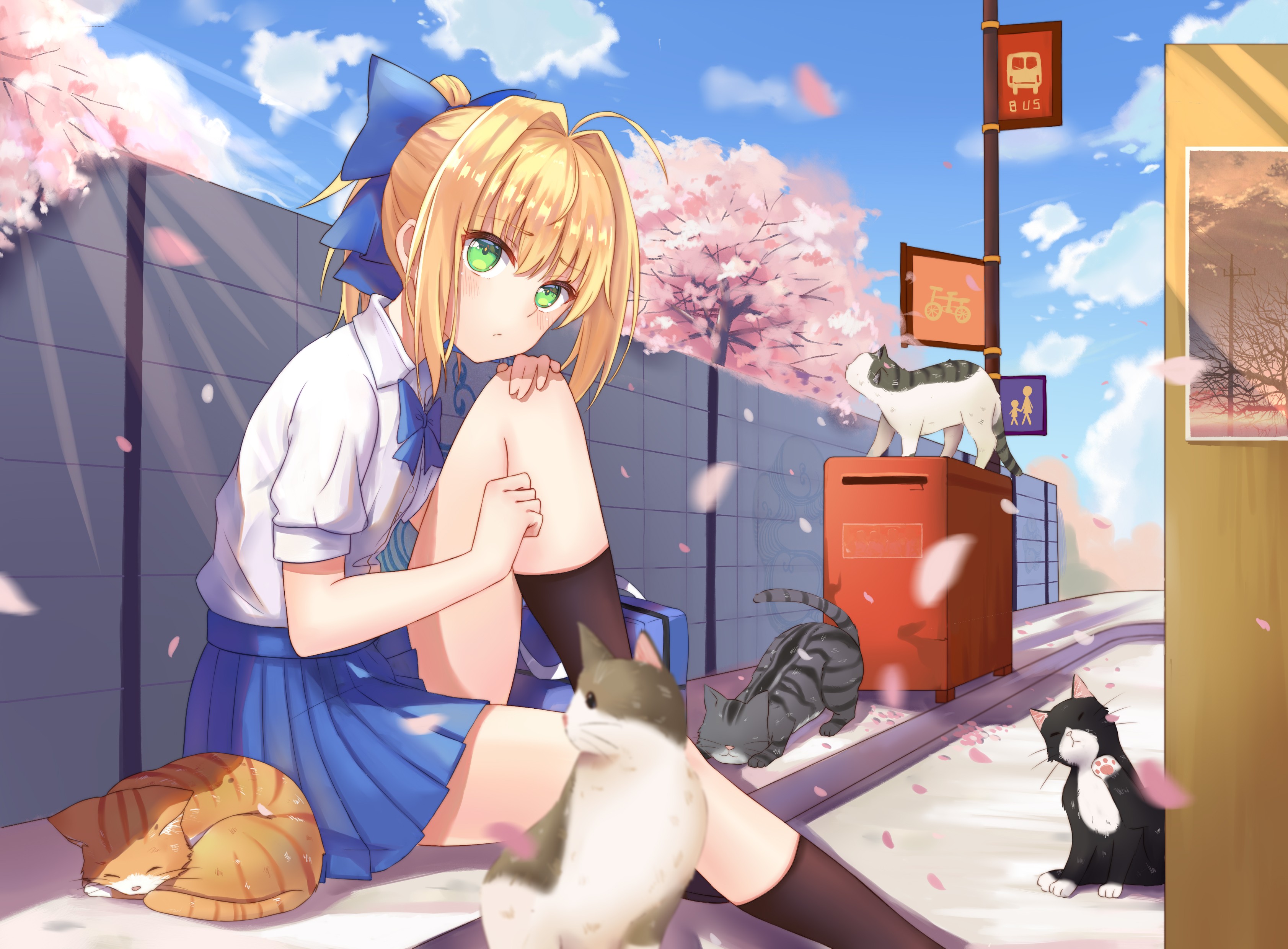 Saber from Fate/Stay Night with cats under cherry blossoms HD Wallpaper