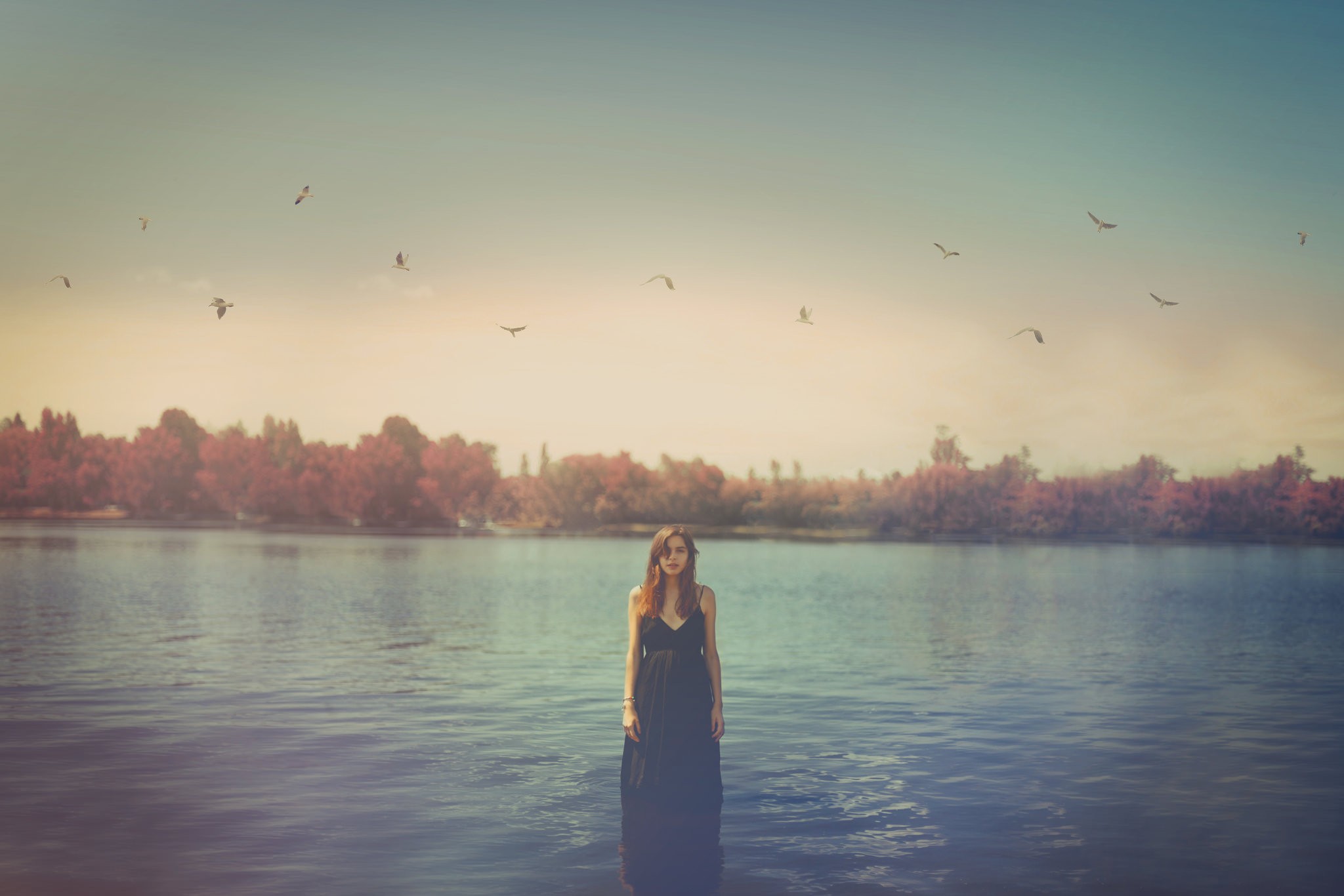 Woman in a black dress standing in water with birds flying HD Wallpaper