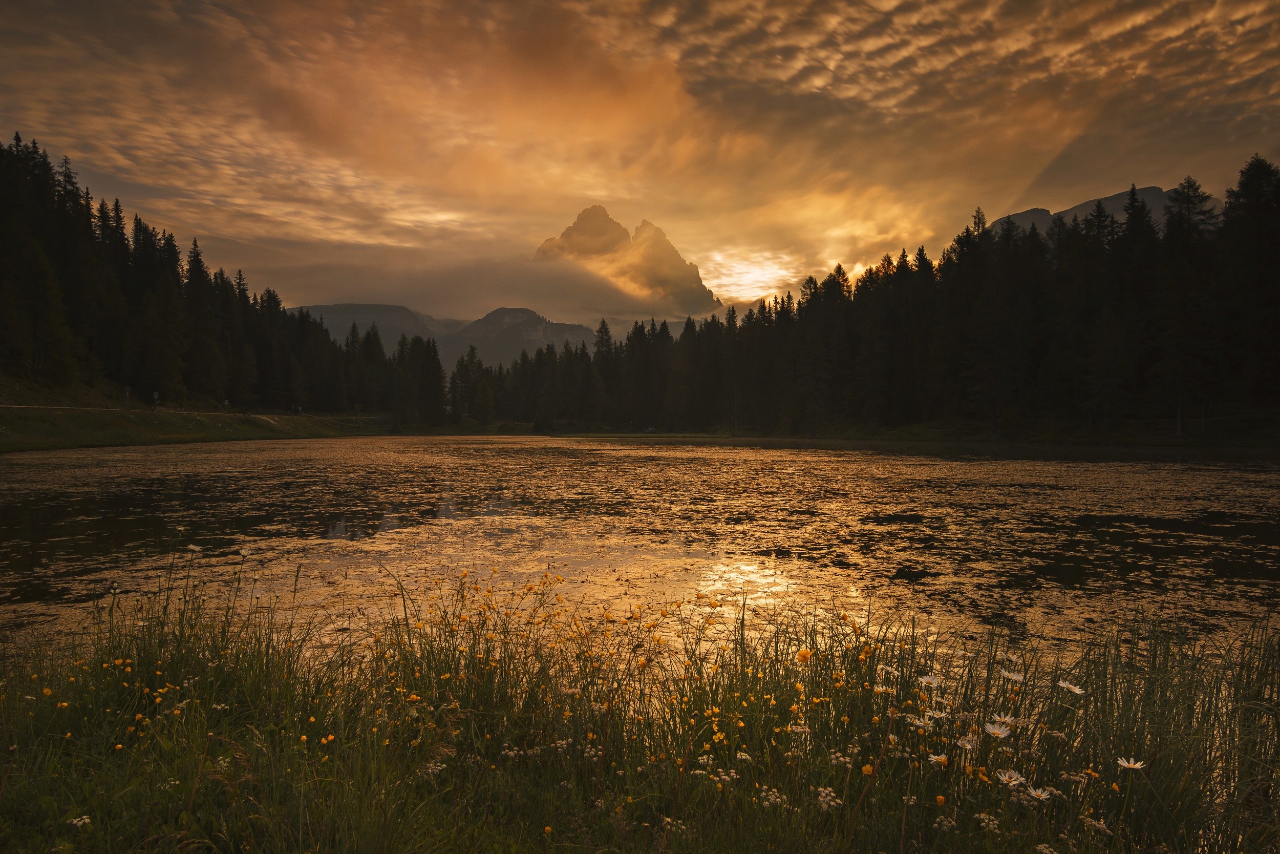 Golden sunrise over a mountain lake and forest HD Wallpaper