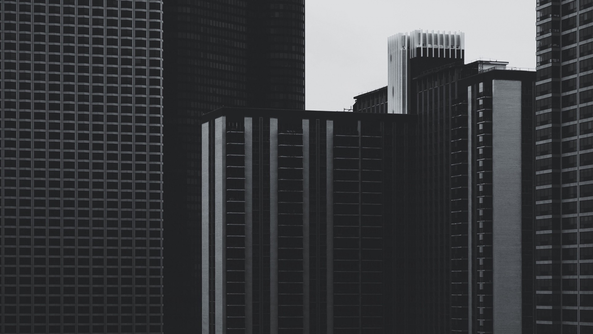 Monochrome urban skyscrapers with grid patterns HD Wallpaper
