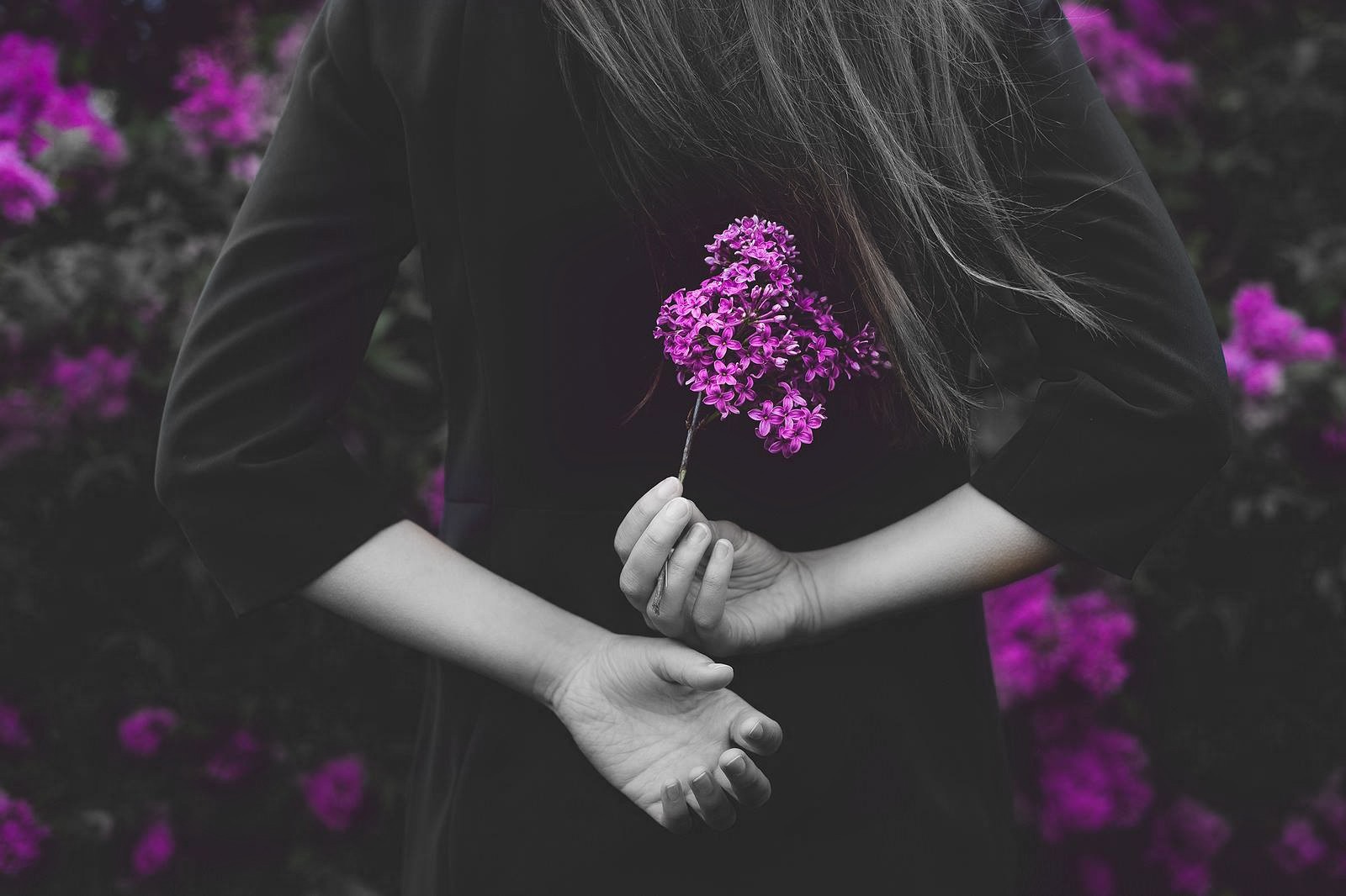 Woman hiding purple flowers behind her back HD Wallpaper