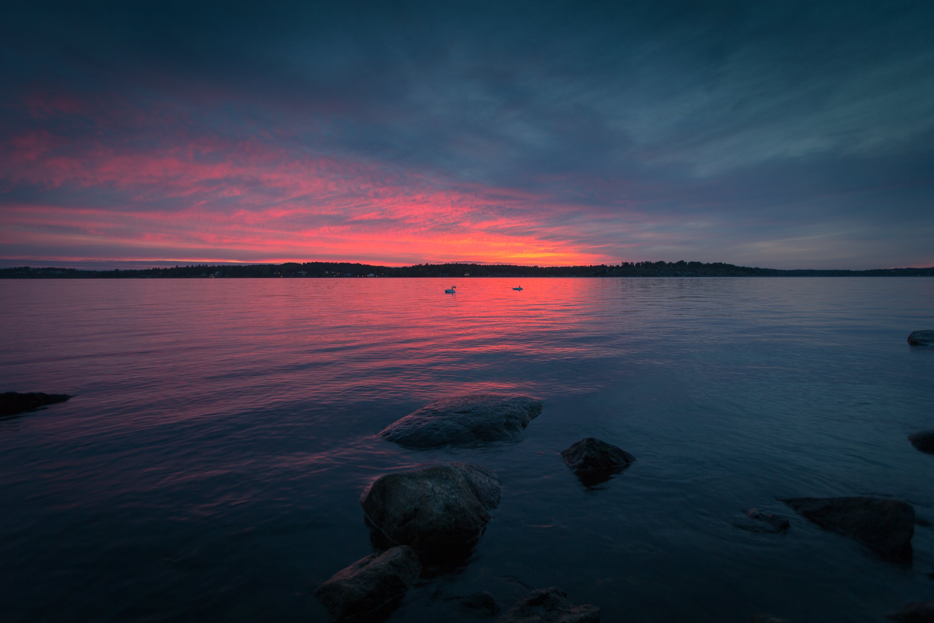 Sunset over a calm lake with rocks and birds HD Wallpaper