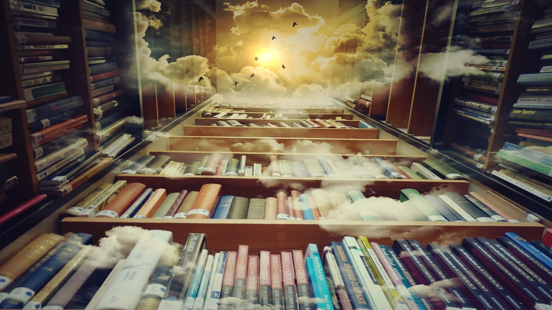 Bookshelves leading to a sky with clouds and birds HD Wallpaper