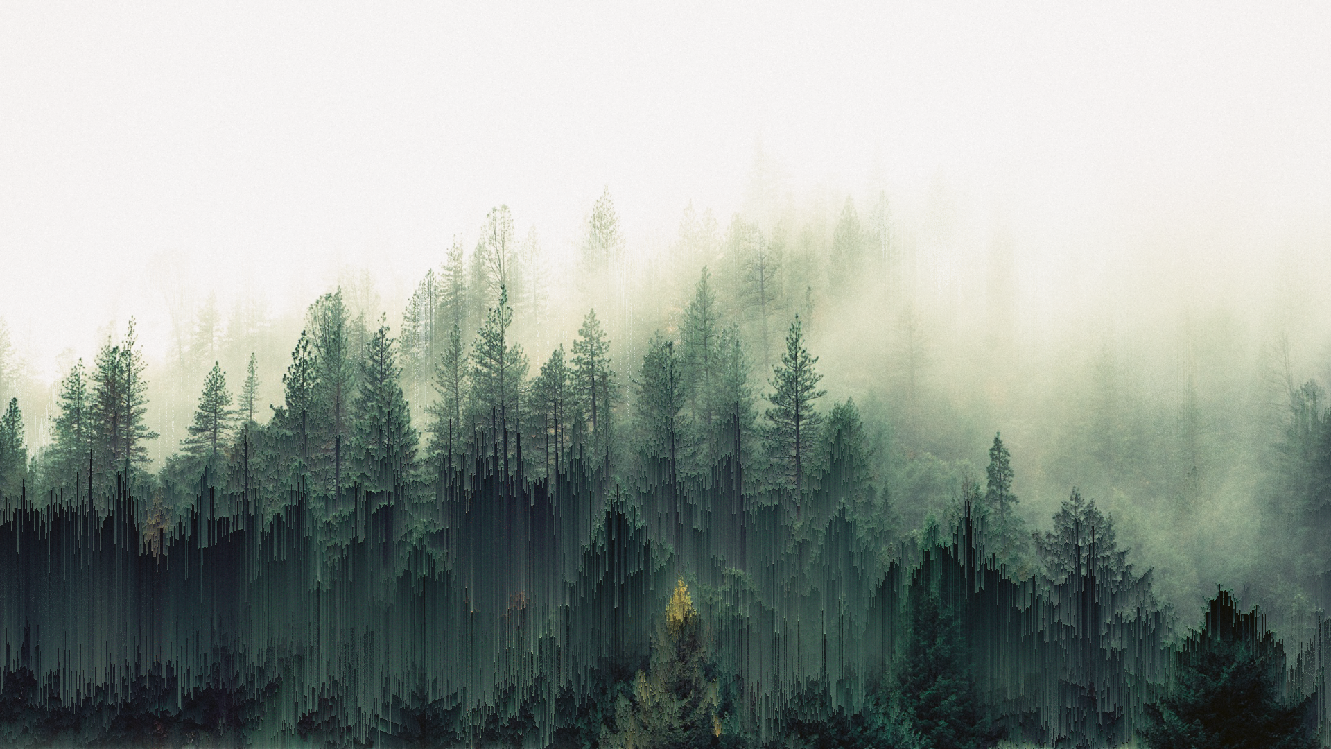 Pixel sorted forest in mist HD Wallpaper