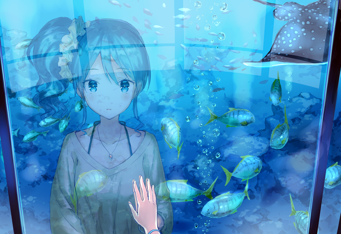 Anime girl looking at fish in an aquarium HD Wallpaper