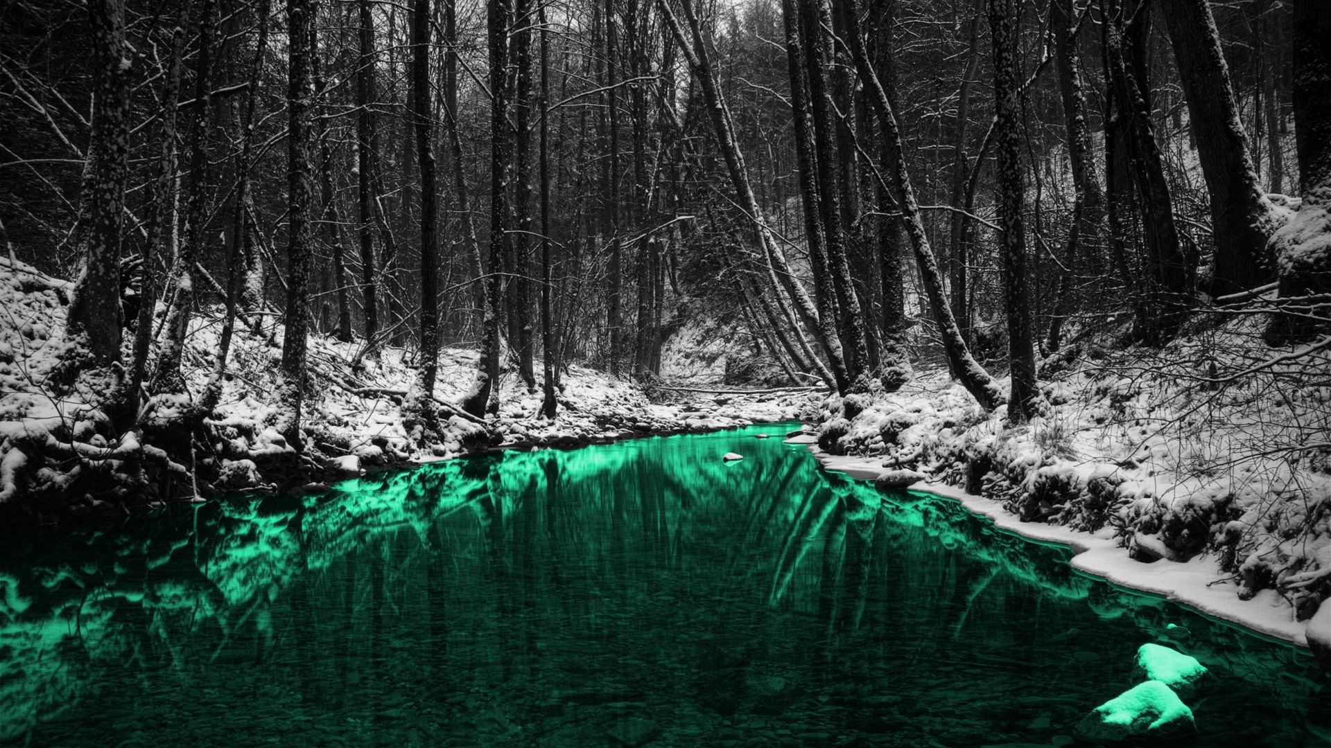 Snowy forest with a vibrant green river and reflections HD Wallpaper