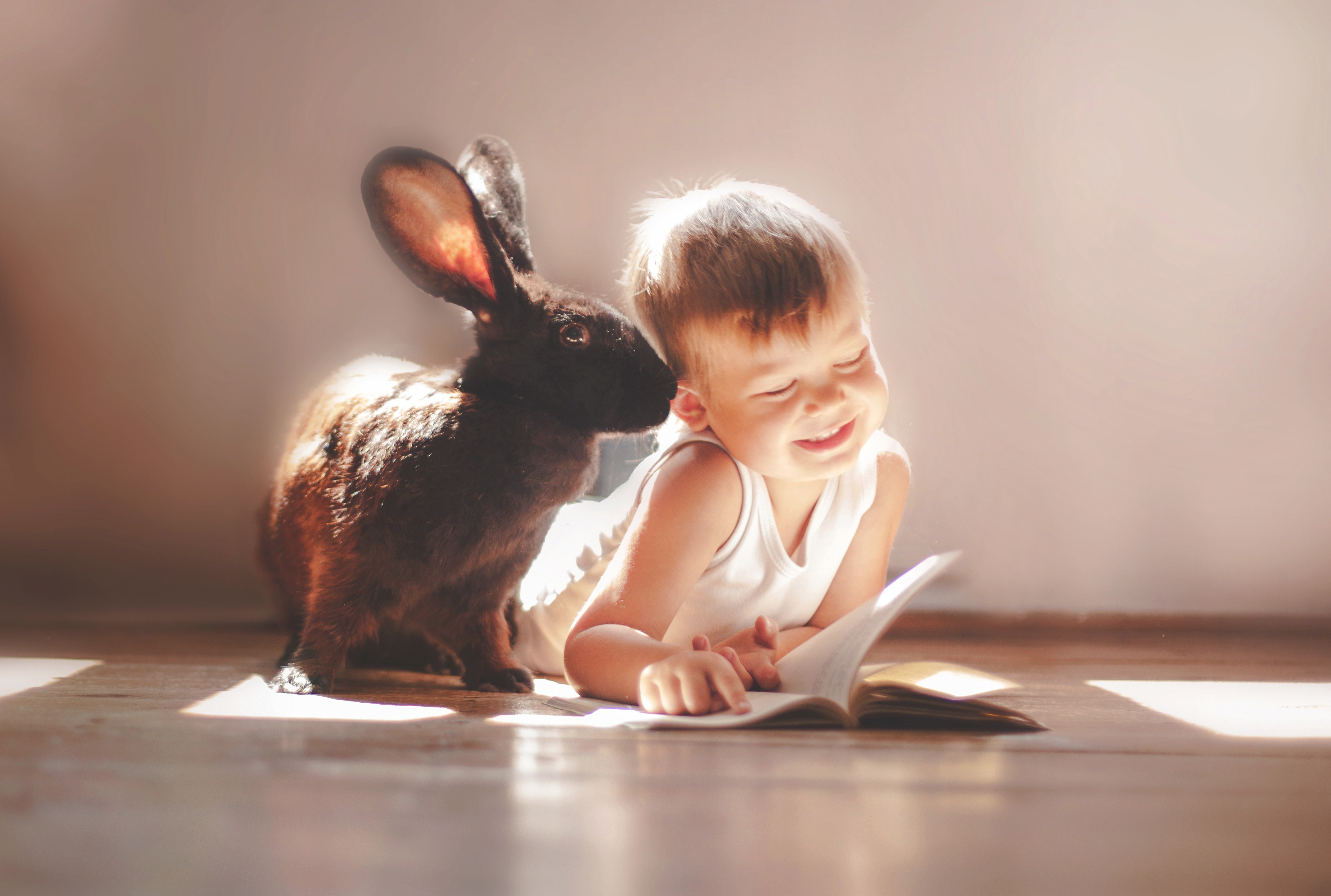 A child and a rabbit reading a book HD Wallpaper