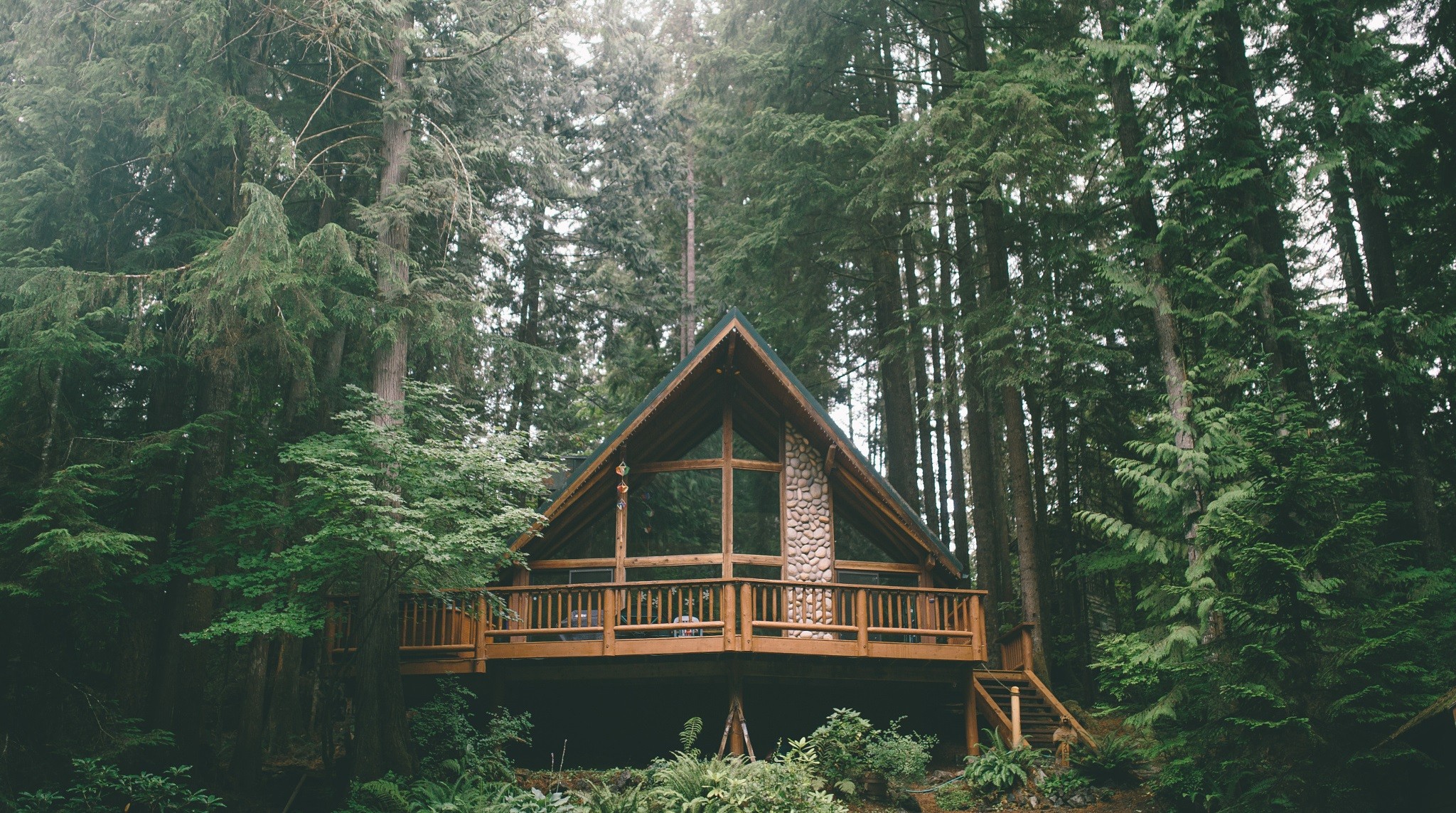 A-frame cabin in a dense forest HD Wallpaper
