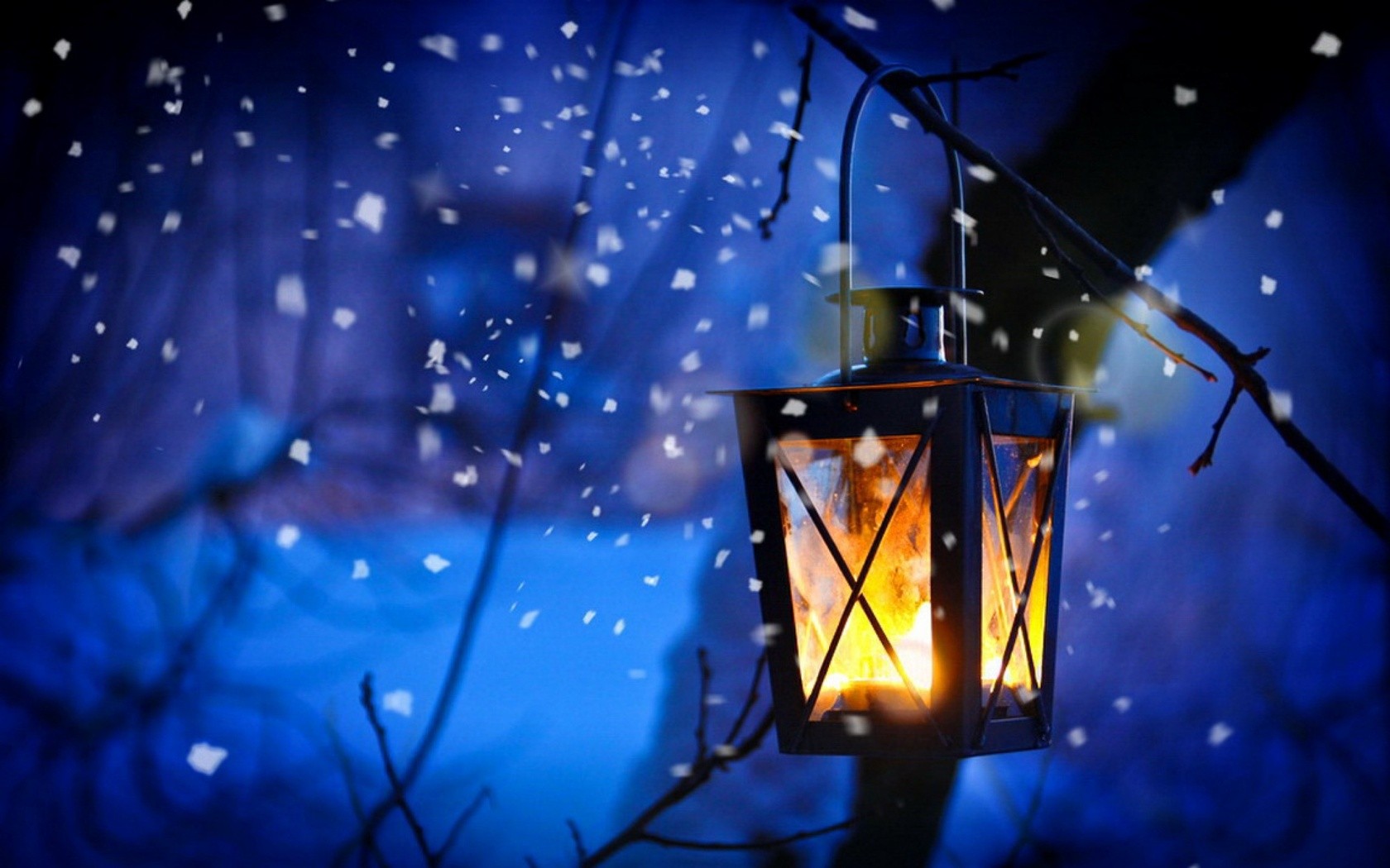 Lantern hanging from a tree branch in the snow HD Wallpaper