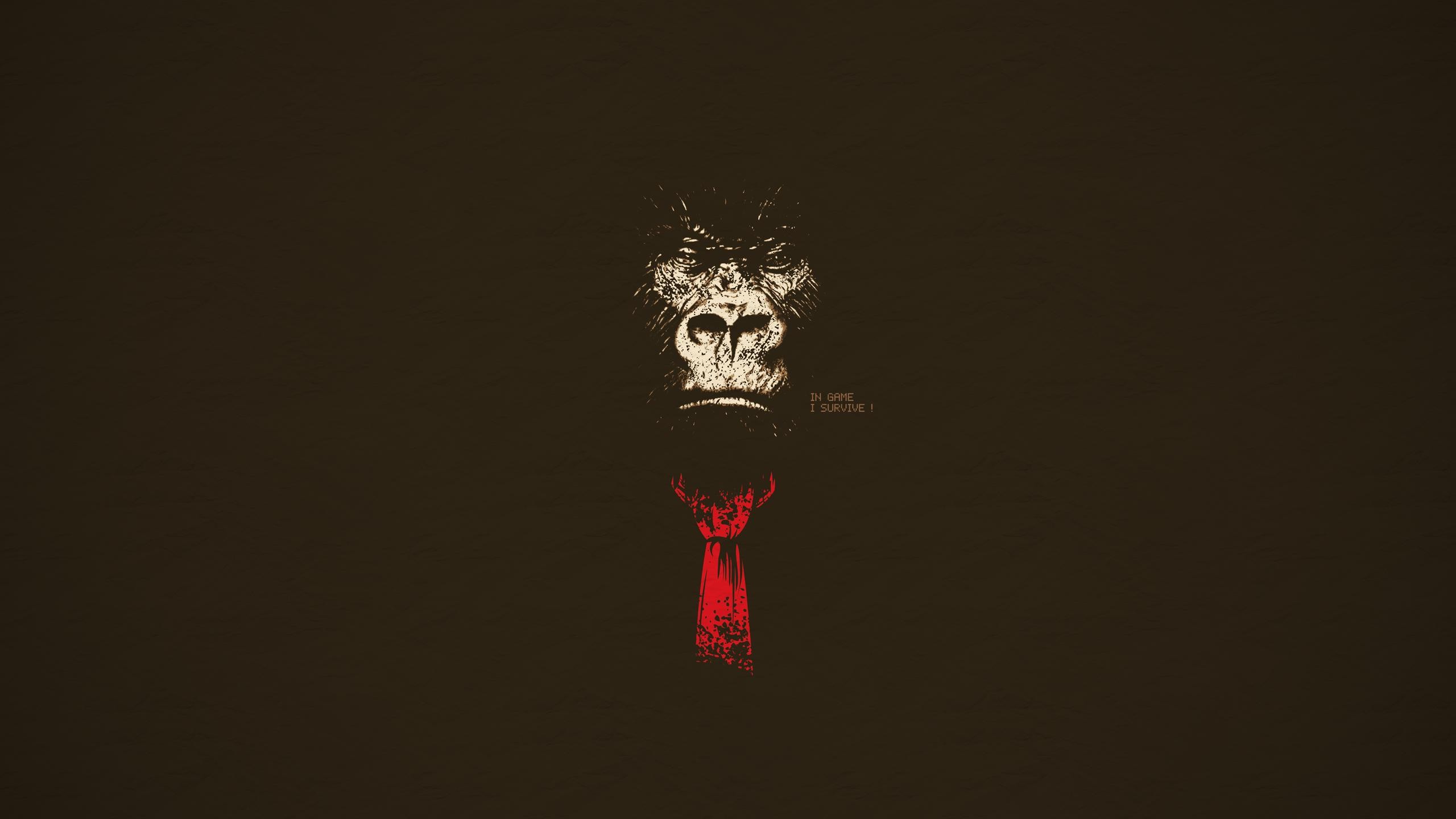Gorilla wearing a red tie with text HD Wallpaper