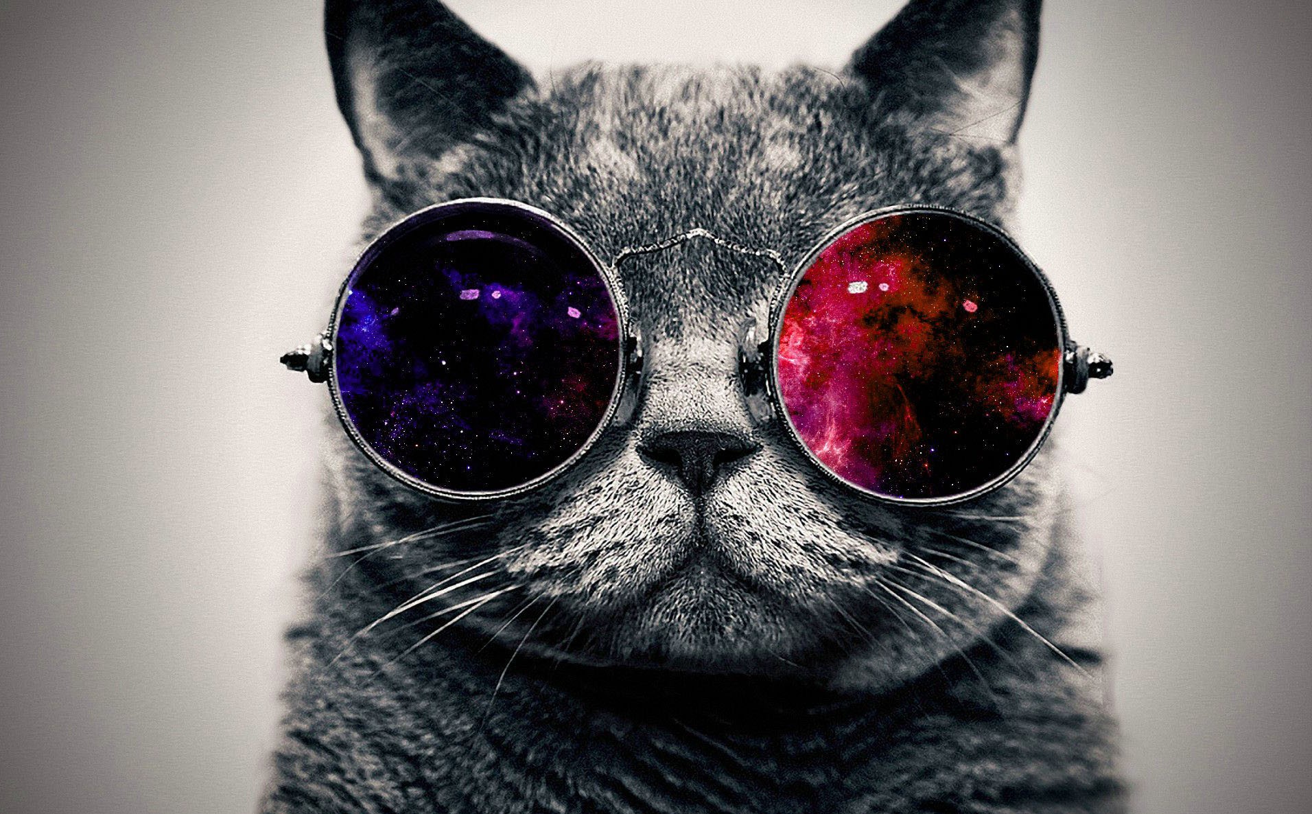 Cat wearing round sunglasses with galaxy lenses HD Wallpaper