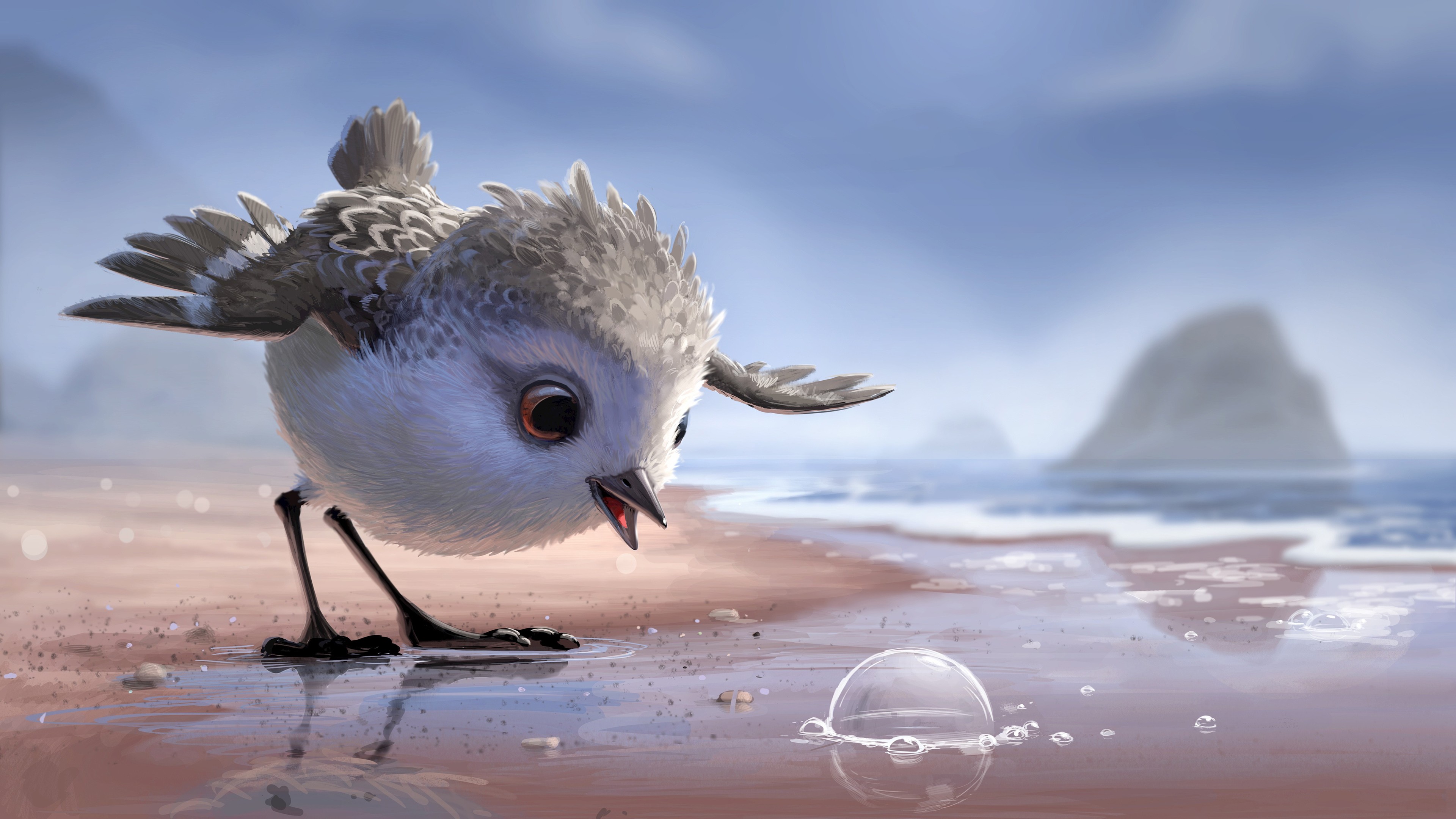 A baby bird on a beach looking at a bubble HD Wallpaper