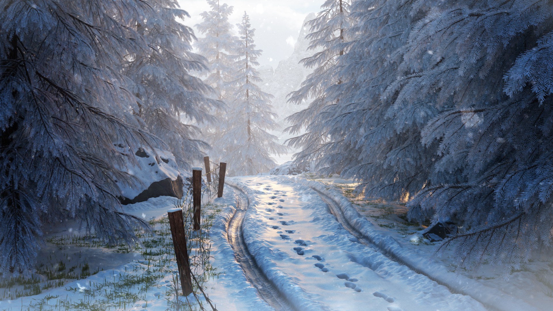 Snowy forest road with footprints and fence HD Wallpaper