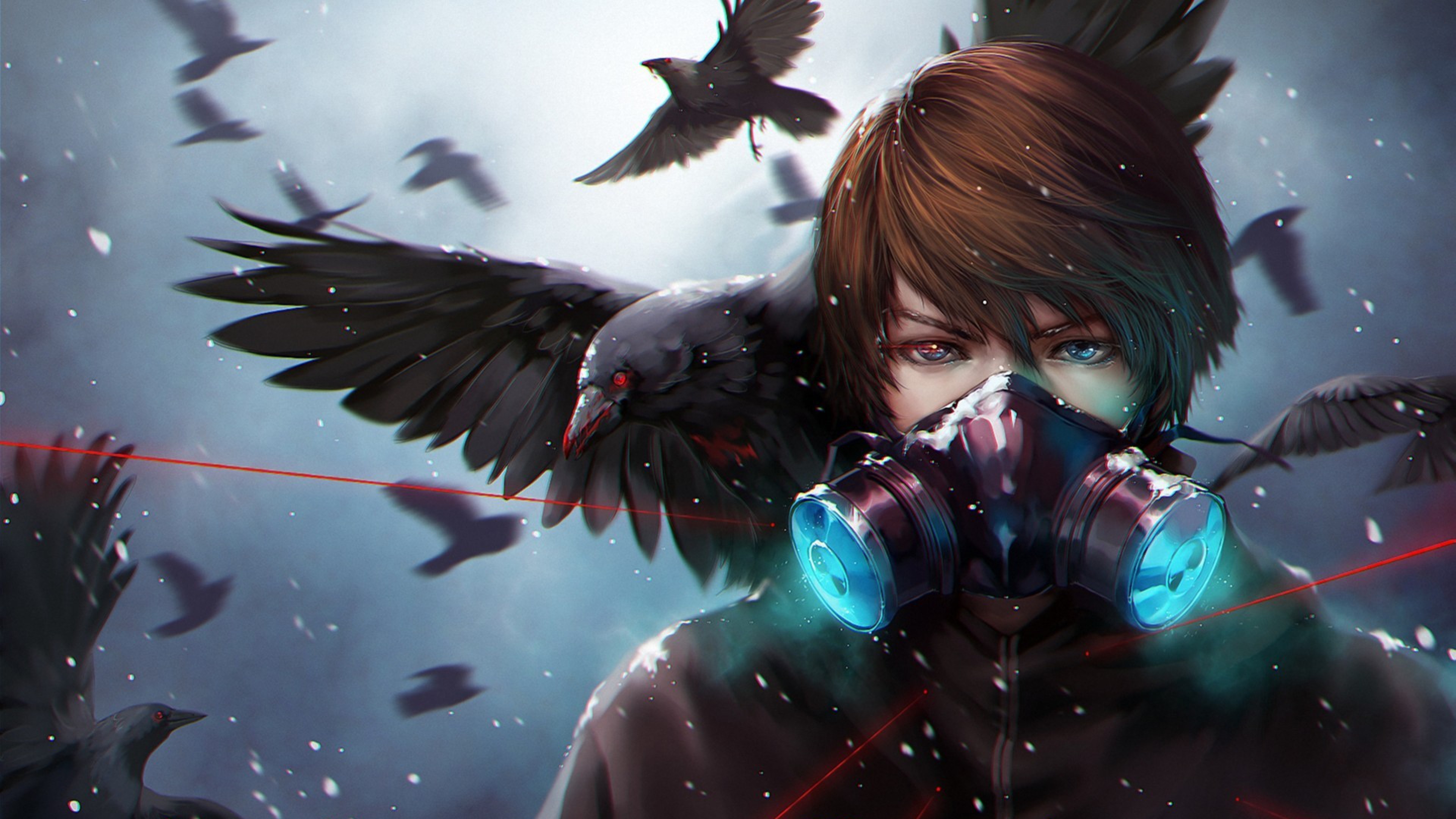 birds, raven, anime HD Wallpaper