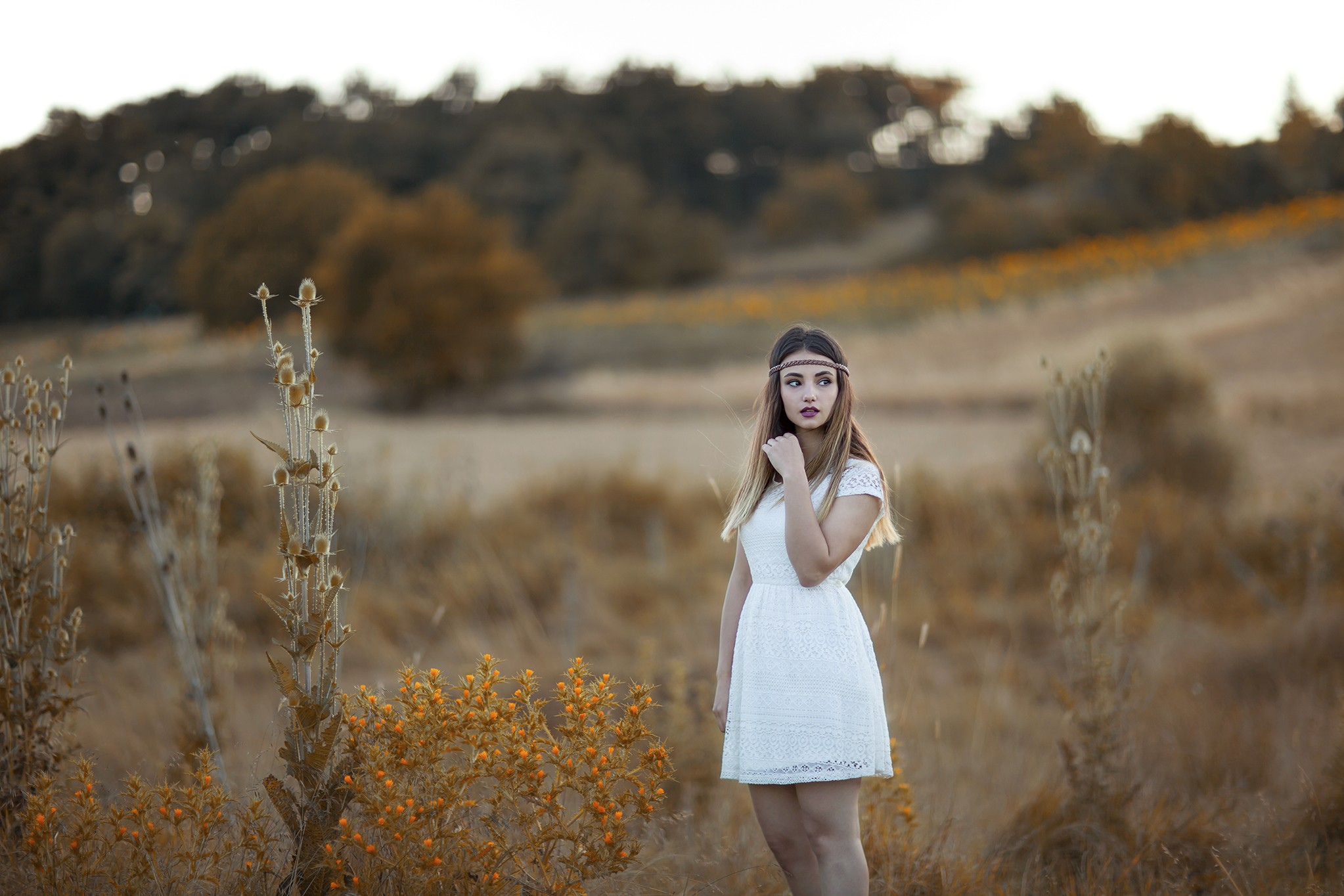 Woman in white dress with headband in a field HD Wallpaper