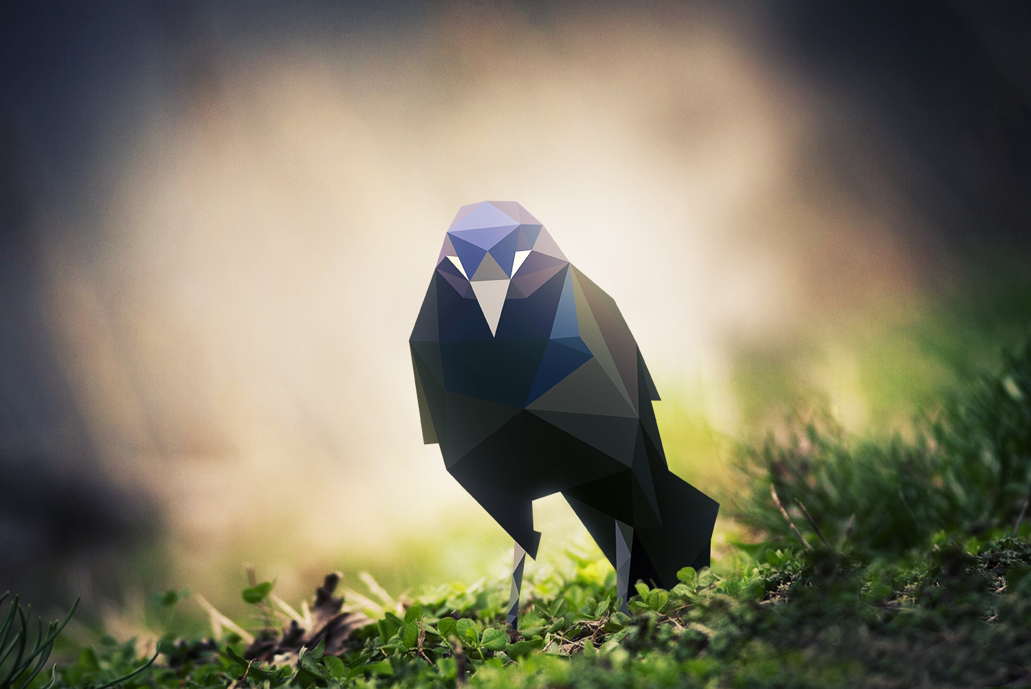 Low poly raven bird on grass with bokeh background HD Wallpaper