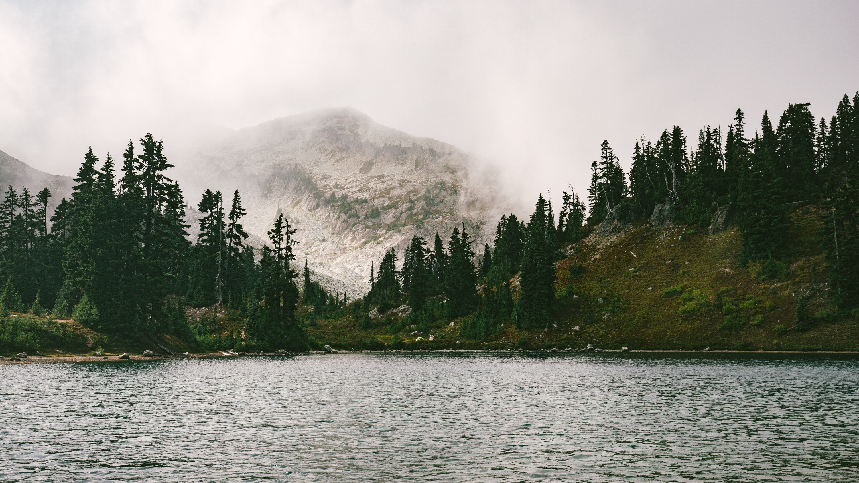 Lake and misty mountains with pine trees HD Wallpaper