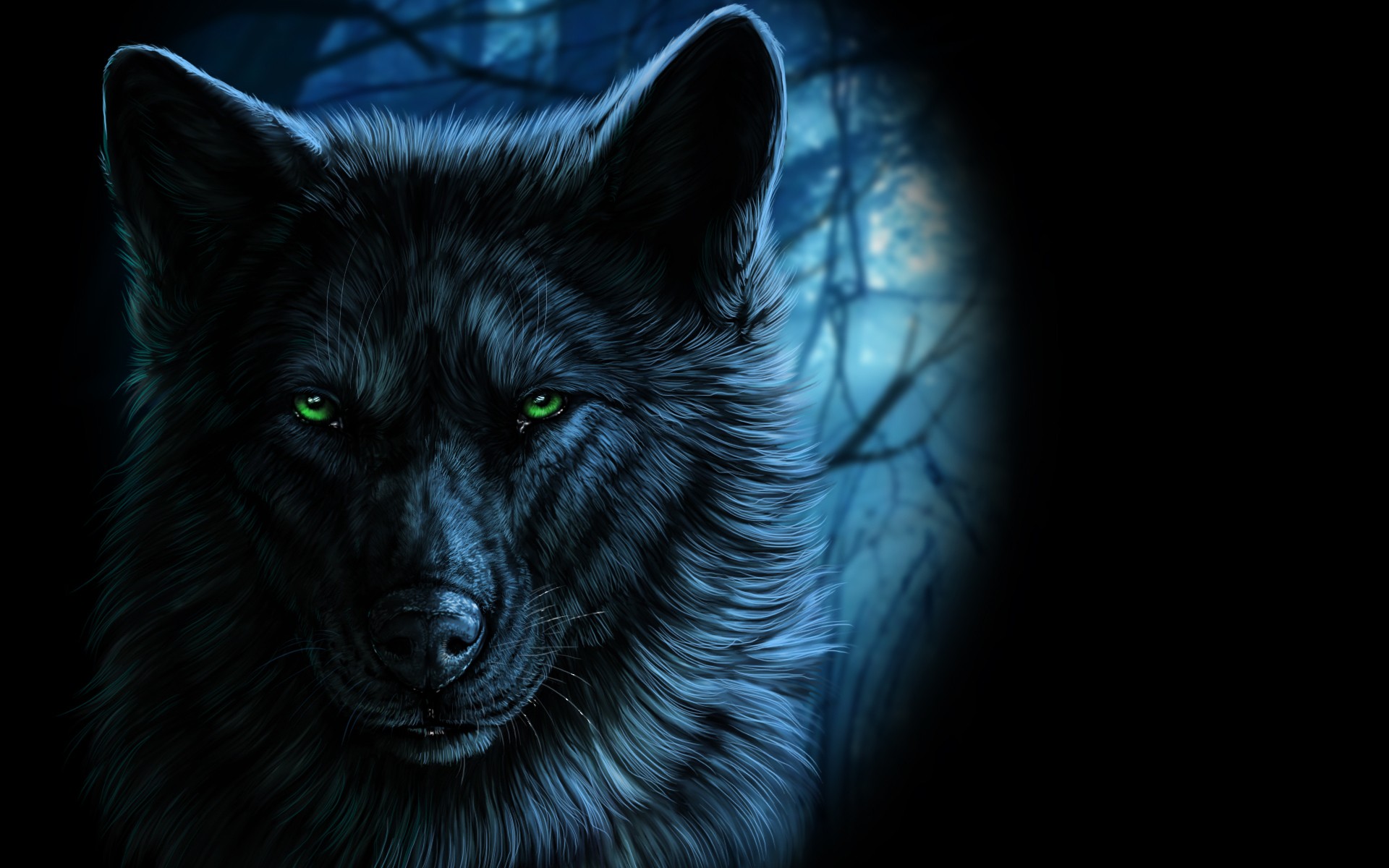 Black wolf with glowing green eyes in a dark forest HD Wallpaper
