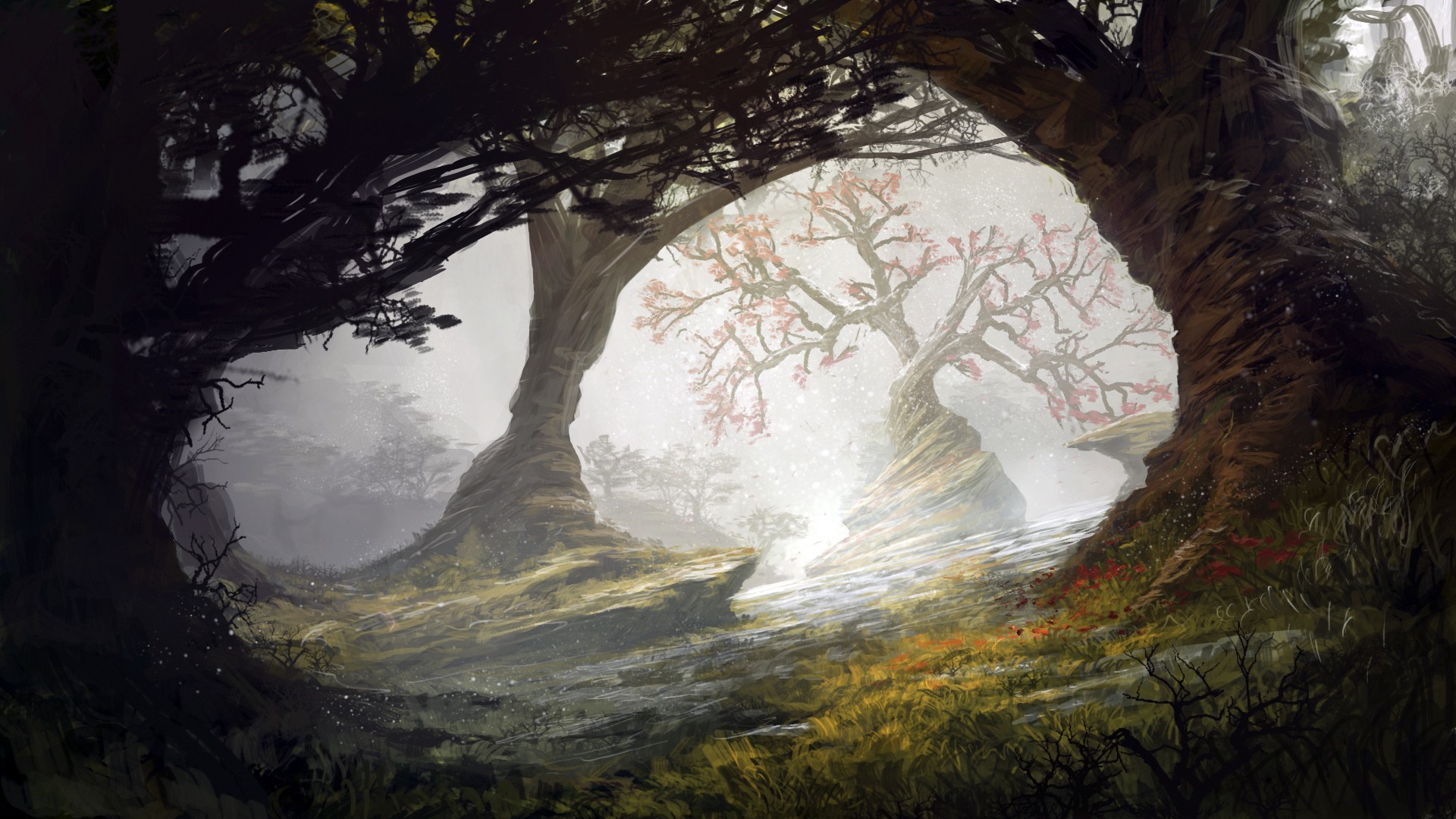 Misty forest with ancient trees and blooming branches HD Wallpaper