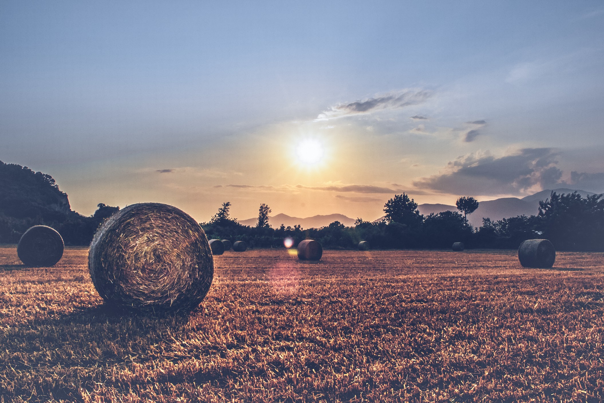 Hay bales in a field at sunset HD Wallpaper