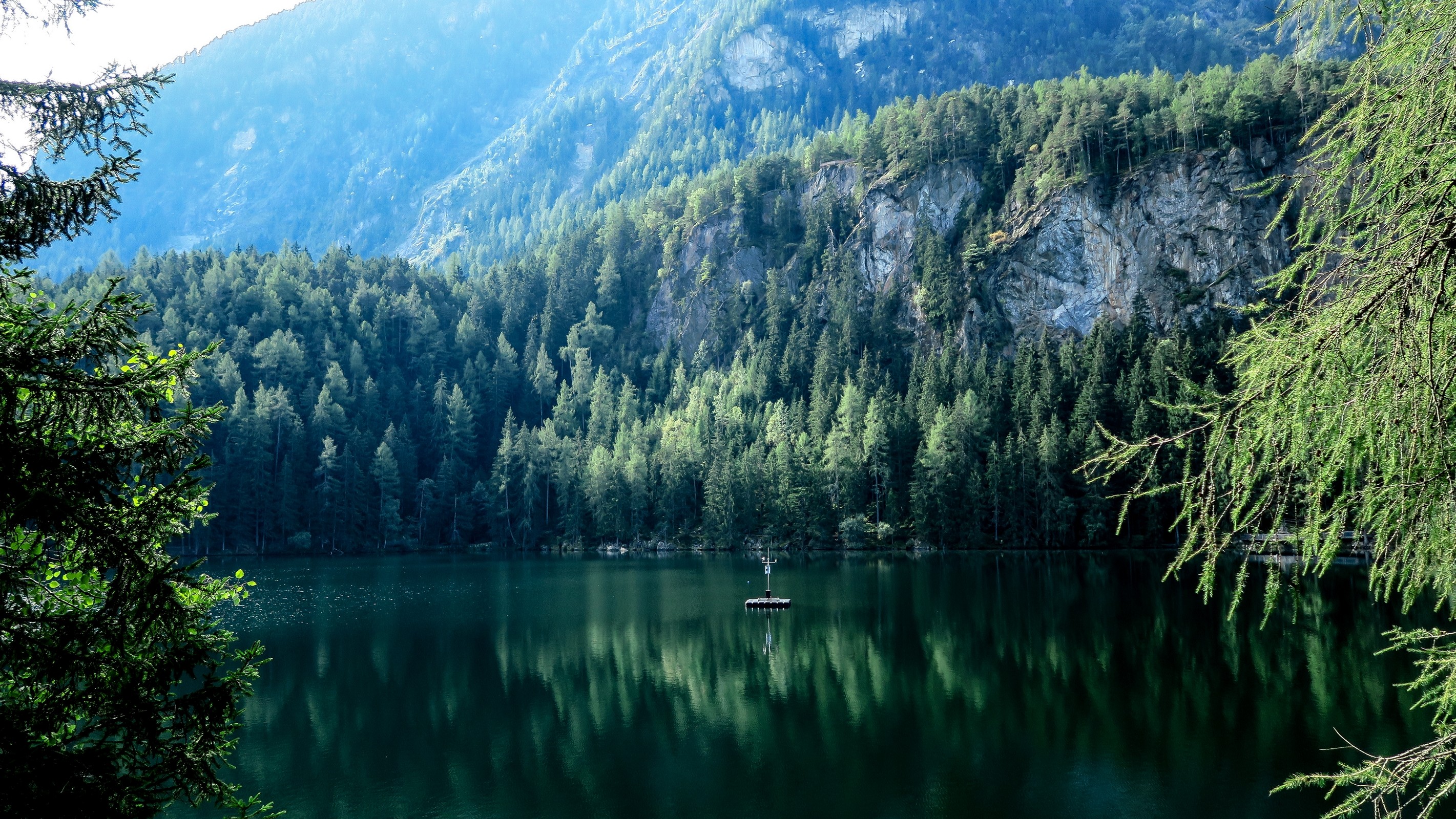 Lake with forest and mountains reflection HD Wallpaper