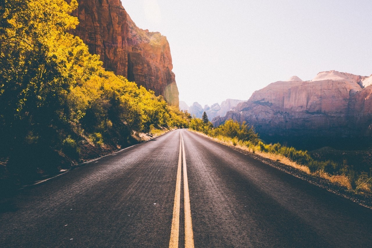 Road through mountains with yellow trees HD Wallpaper