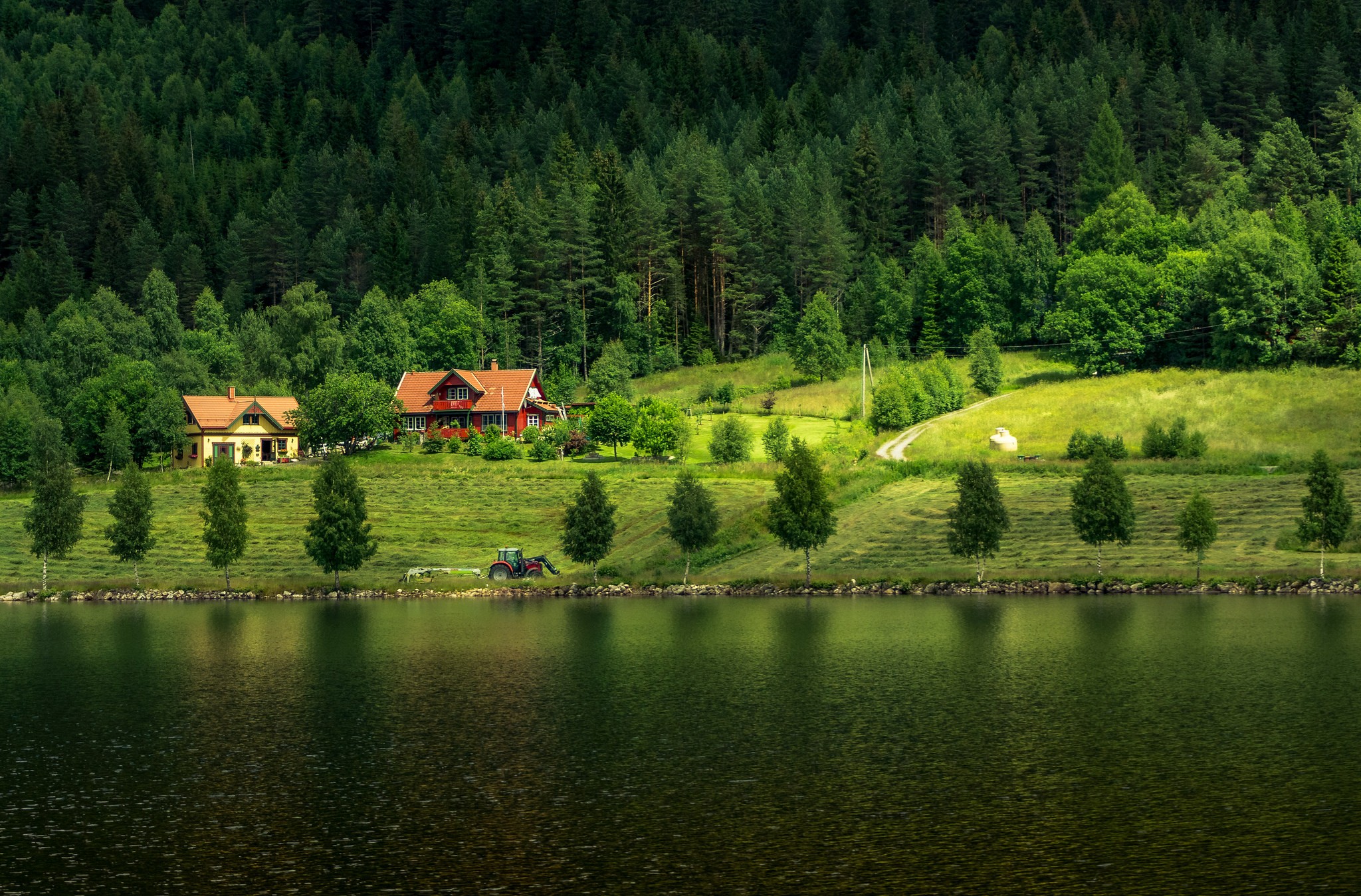 Houses by a lake with a forest background HD Wallpaper