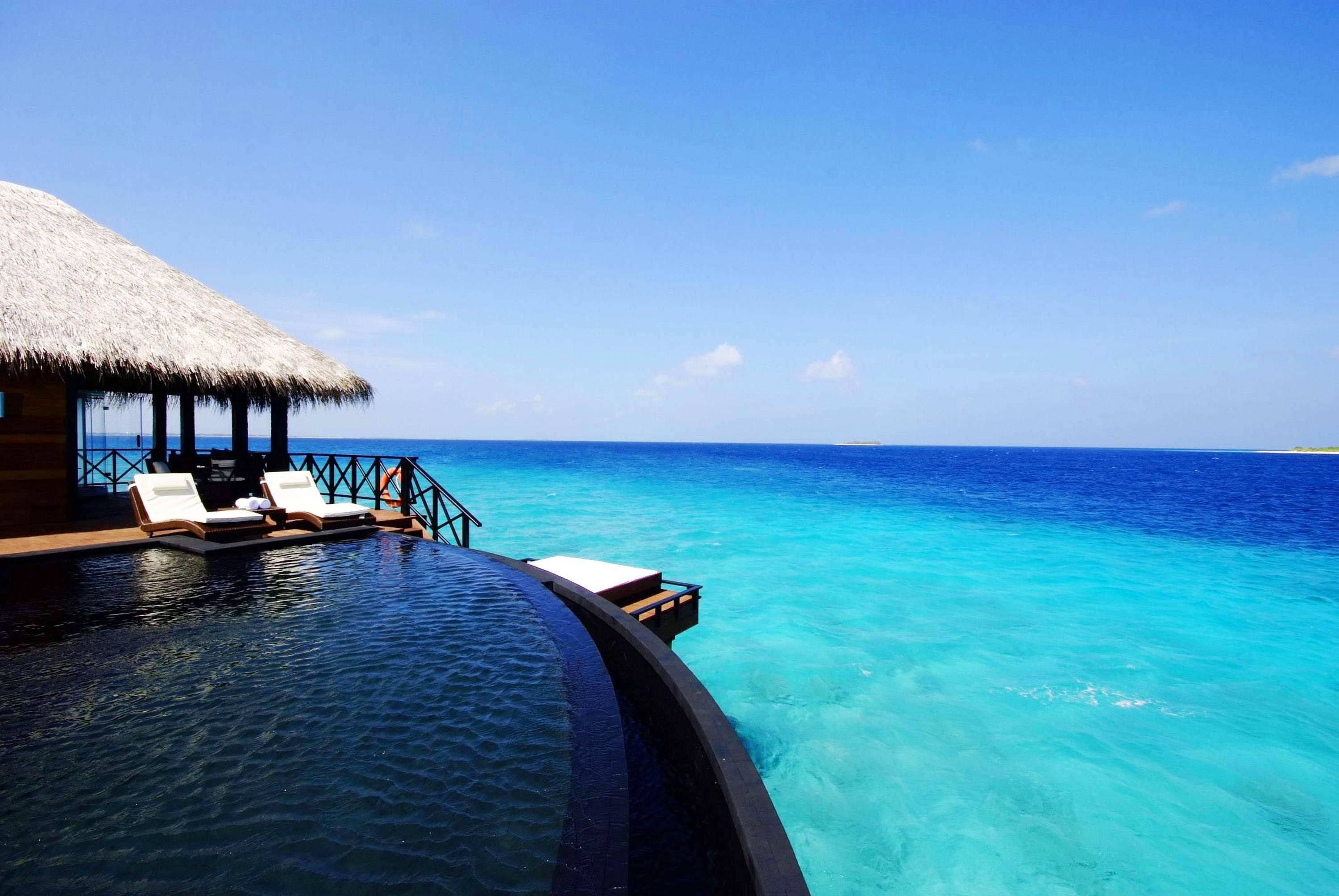 Infinity pool overlooking turquoise ocean and thatched roof villa HD Wallpaper