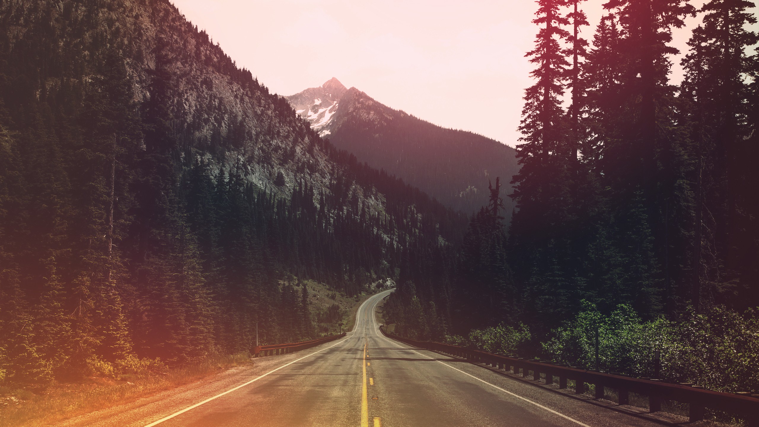 A winding road through a forest with mountains HD Wallpaper