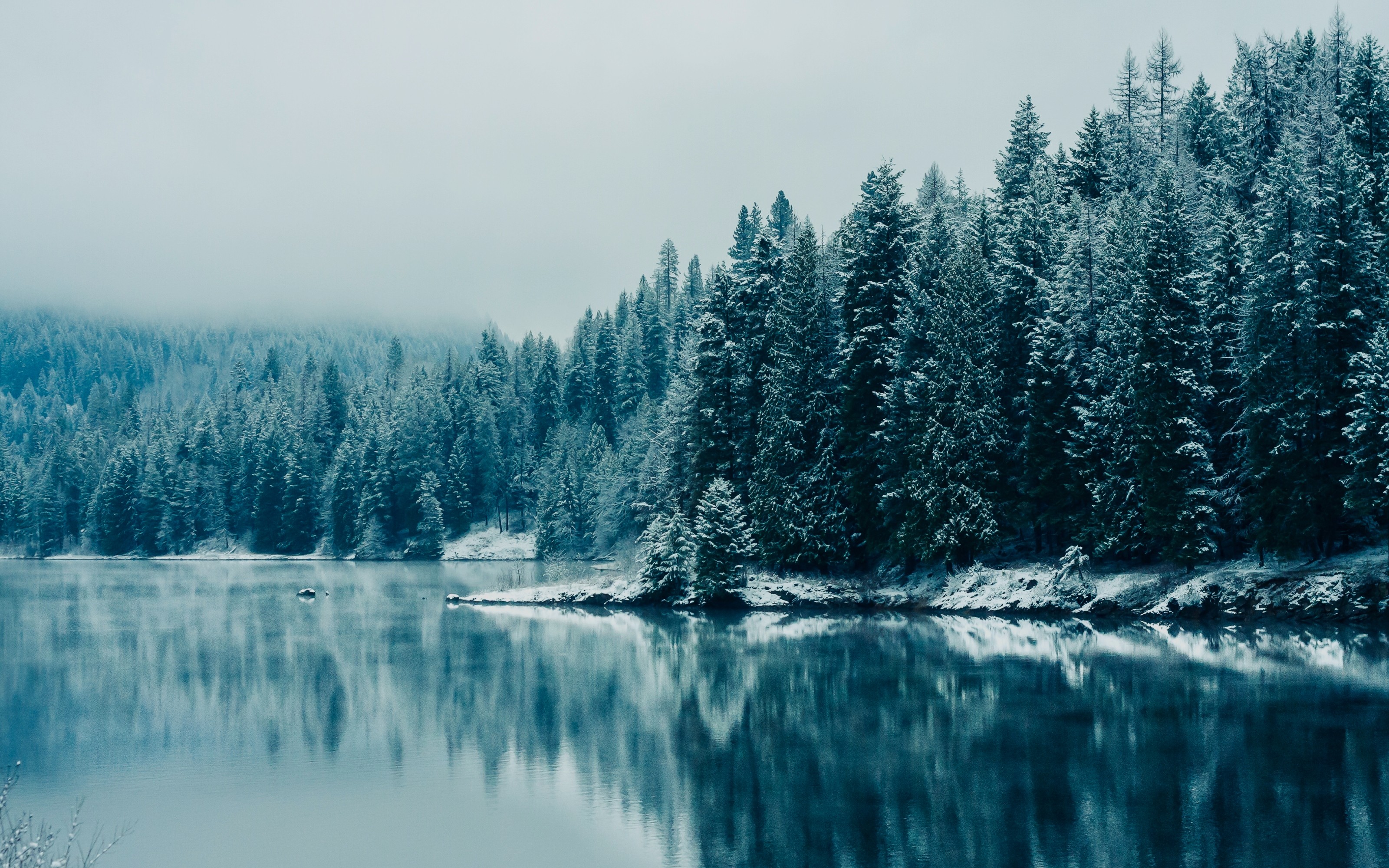 Snow-covered trees reflected in a calm lake HD Wallpaper