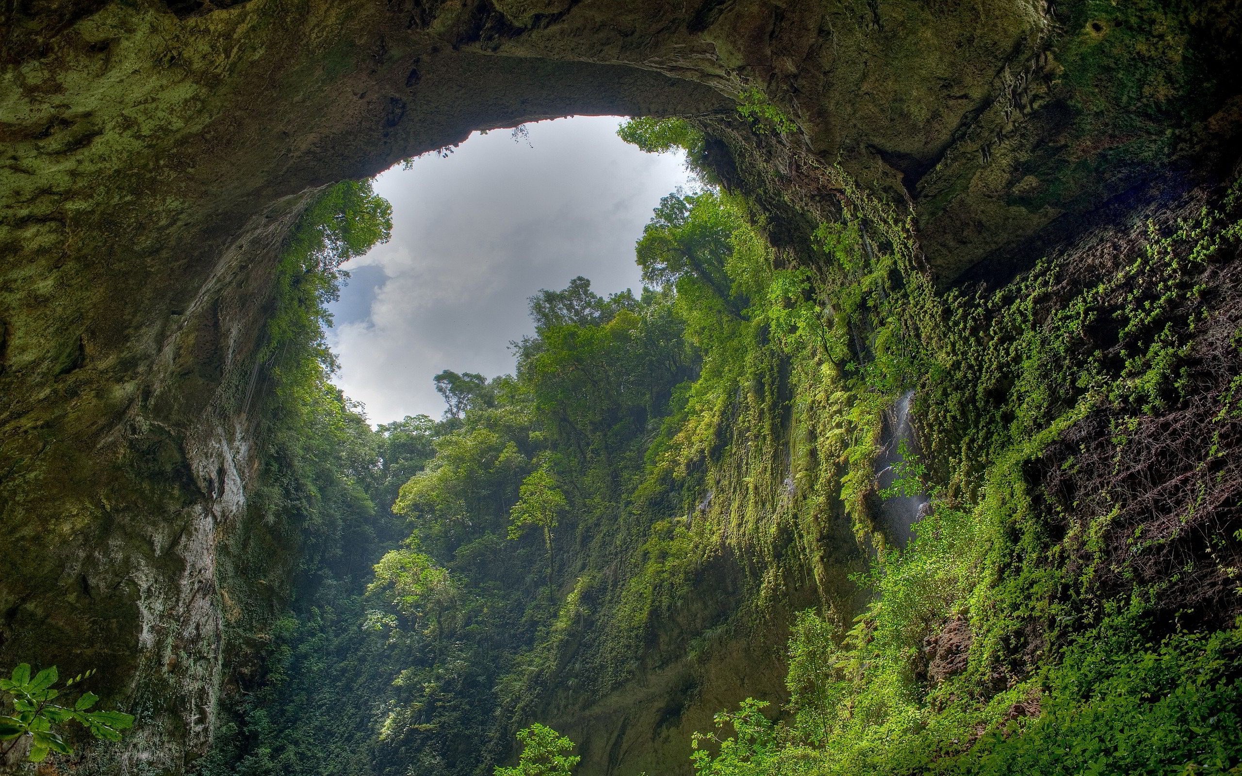 Cave opening with lush green vegetation and sky HD Wallpaper