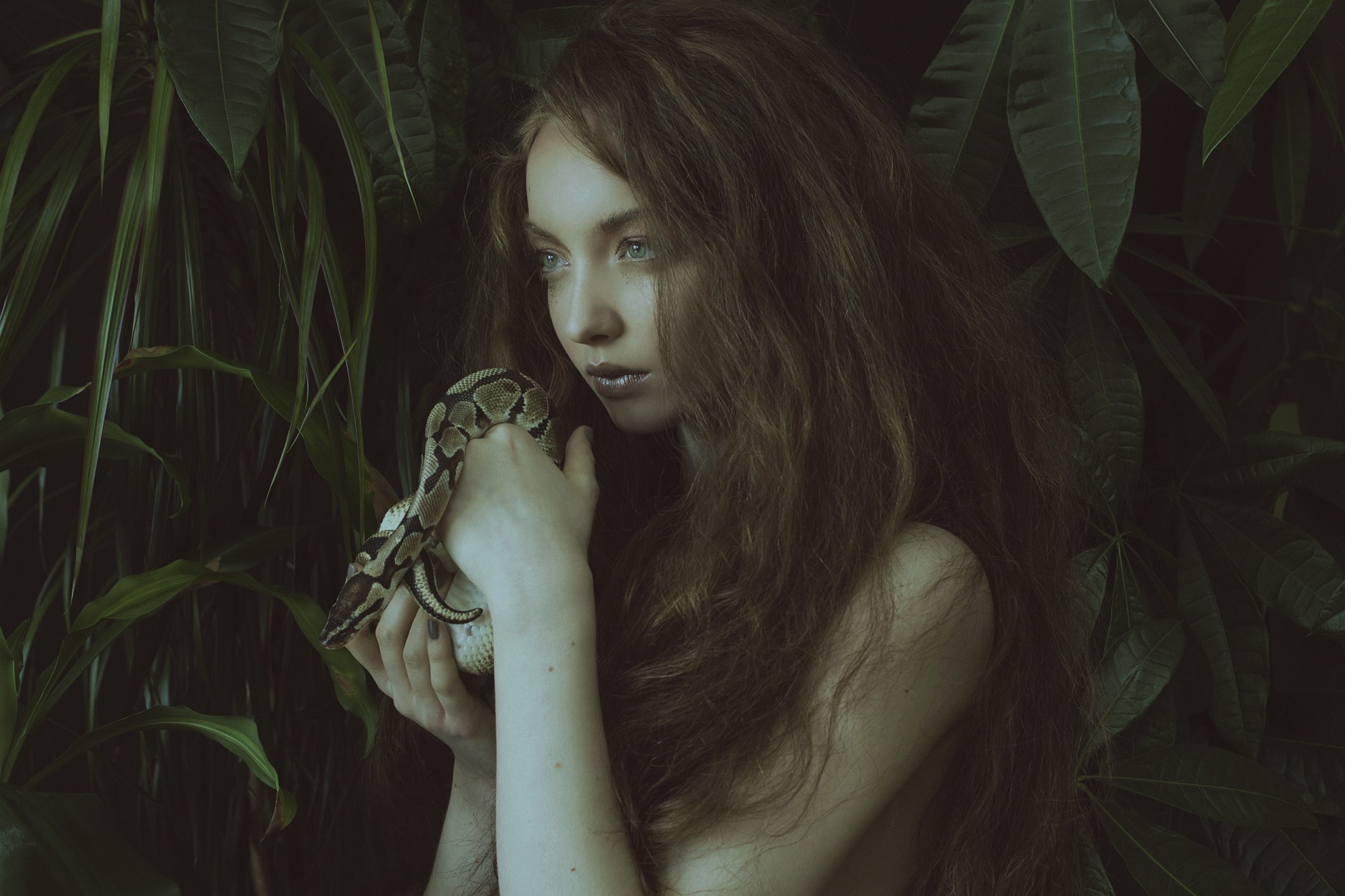 Woman with snake and leaves HD Wallpaper