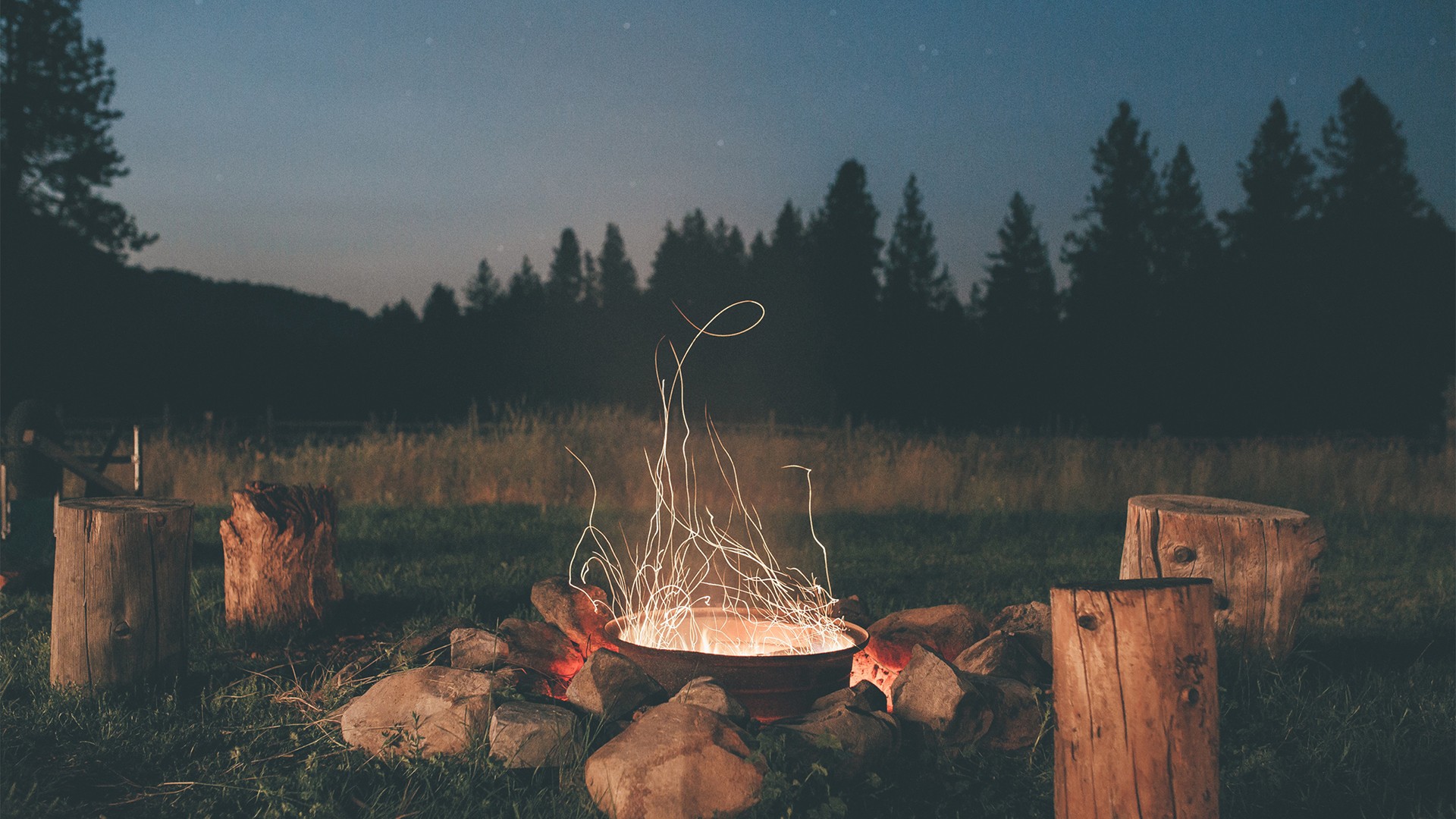 Campfire with sparks and tree stumps at night HD Wallpaper