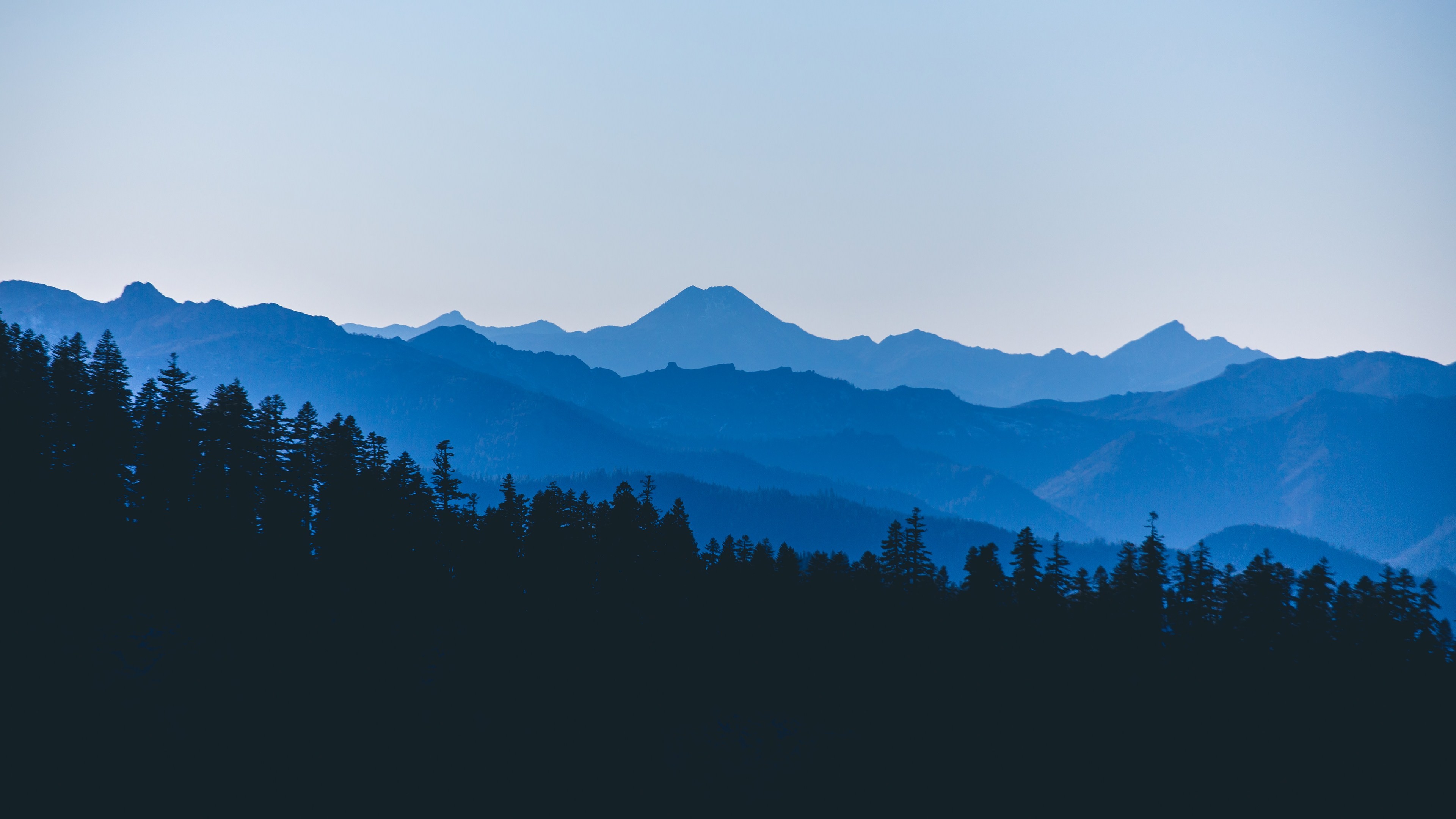 Silhouetted forest and mountains under a clear sky HD Wallpaper